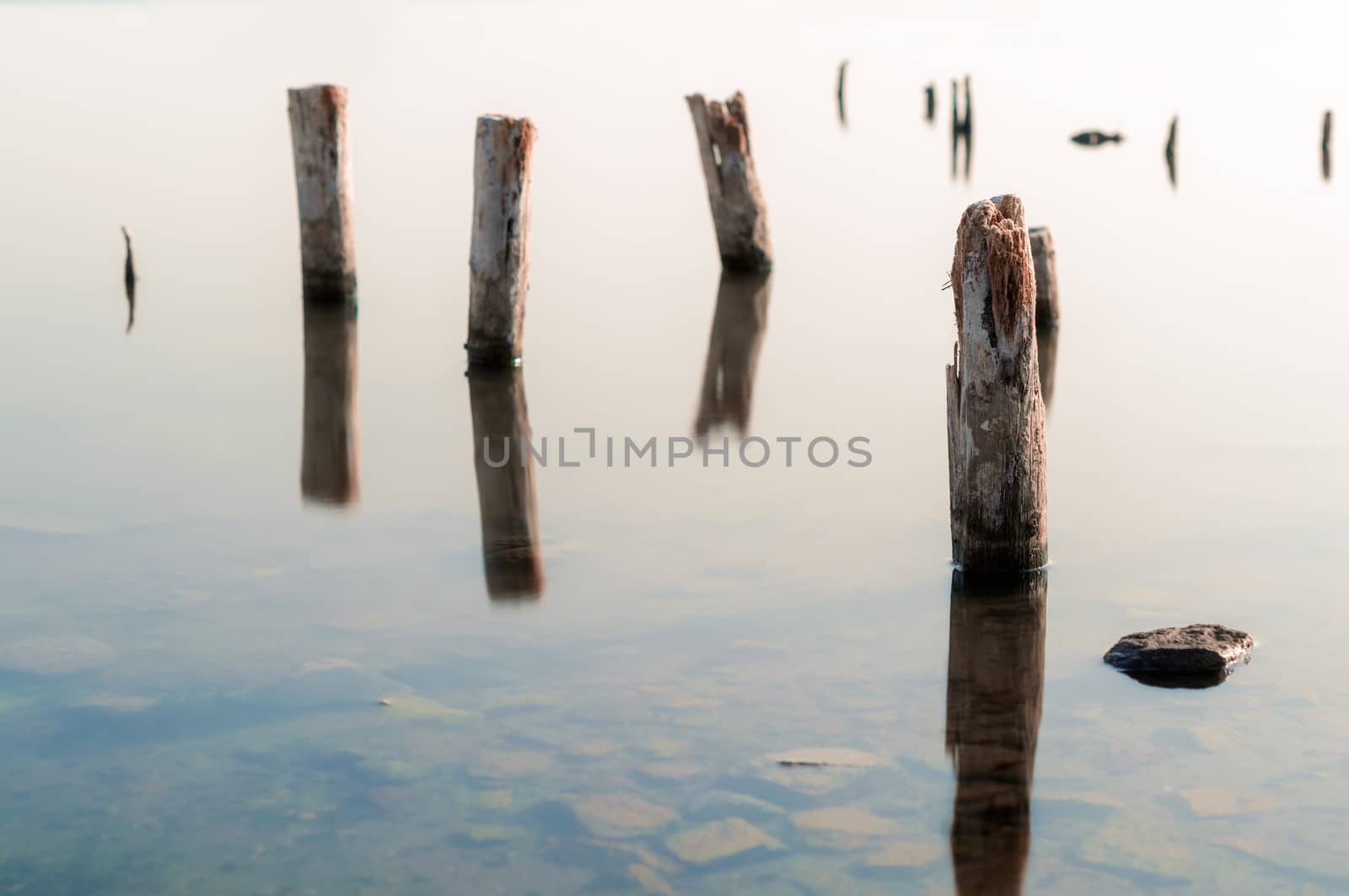 wooden columns in a calm surface of the water