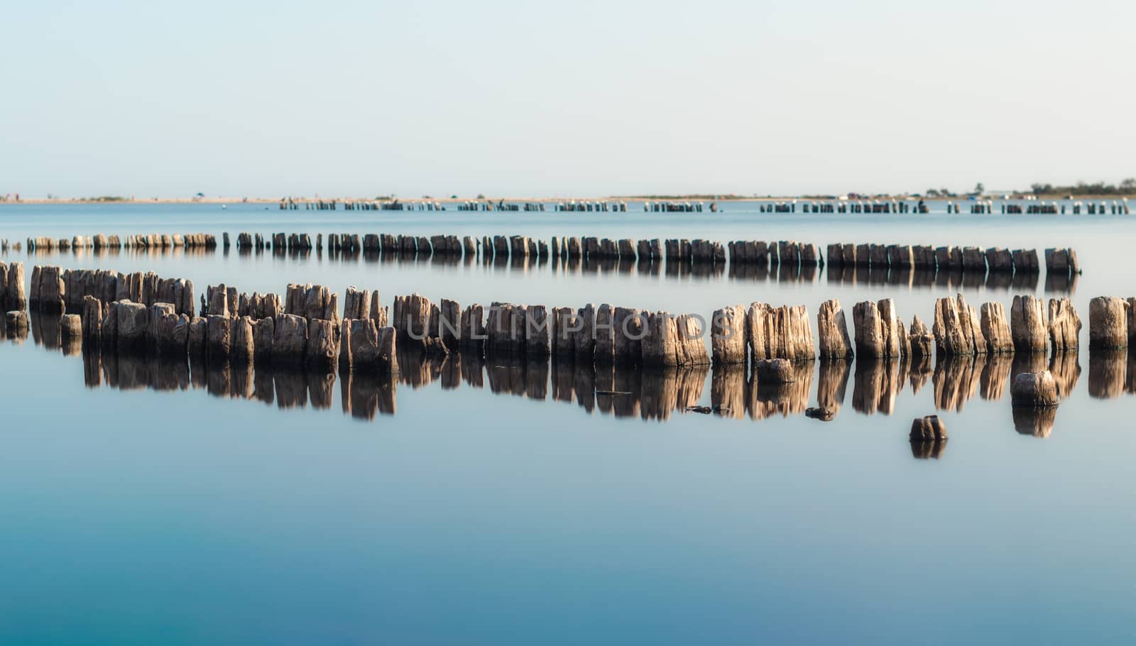 wooden columns in a calm surface of the water