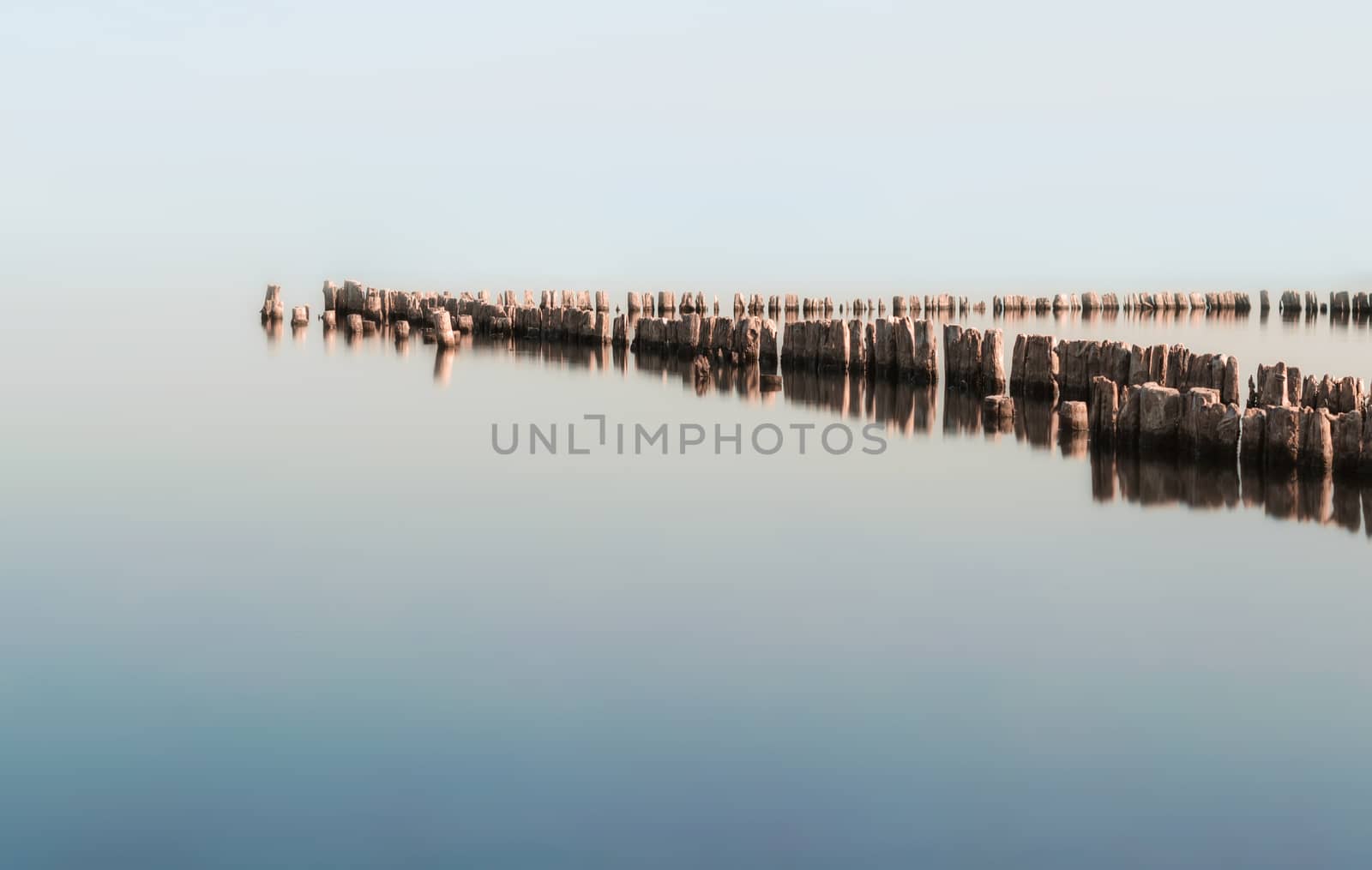 wooden columns in a calm surface of the water