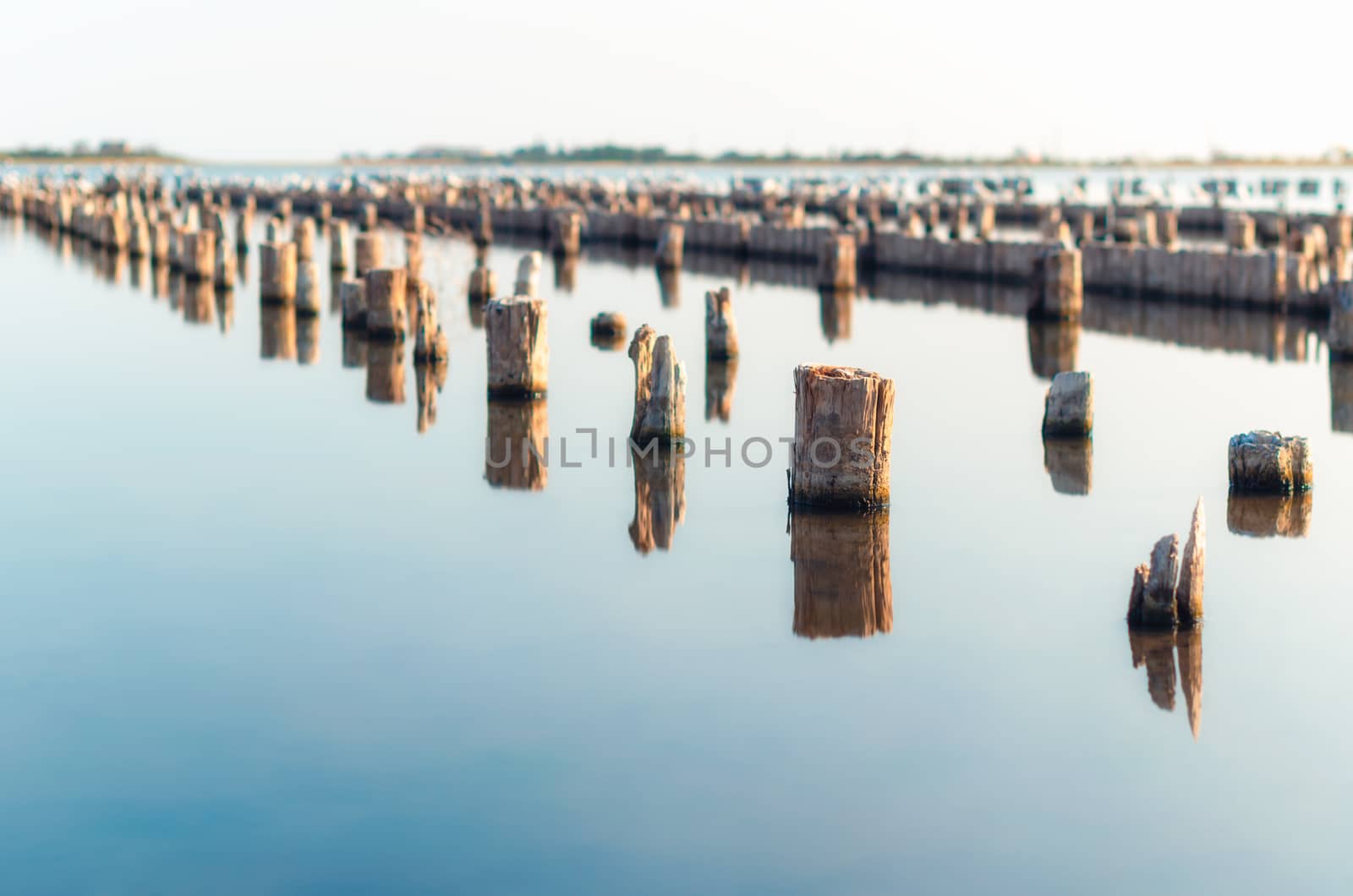 wooden columns in a calm surface of the water