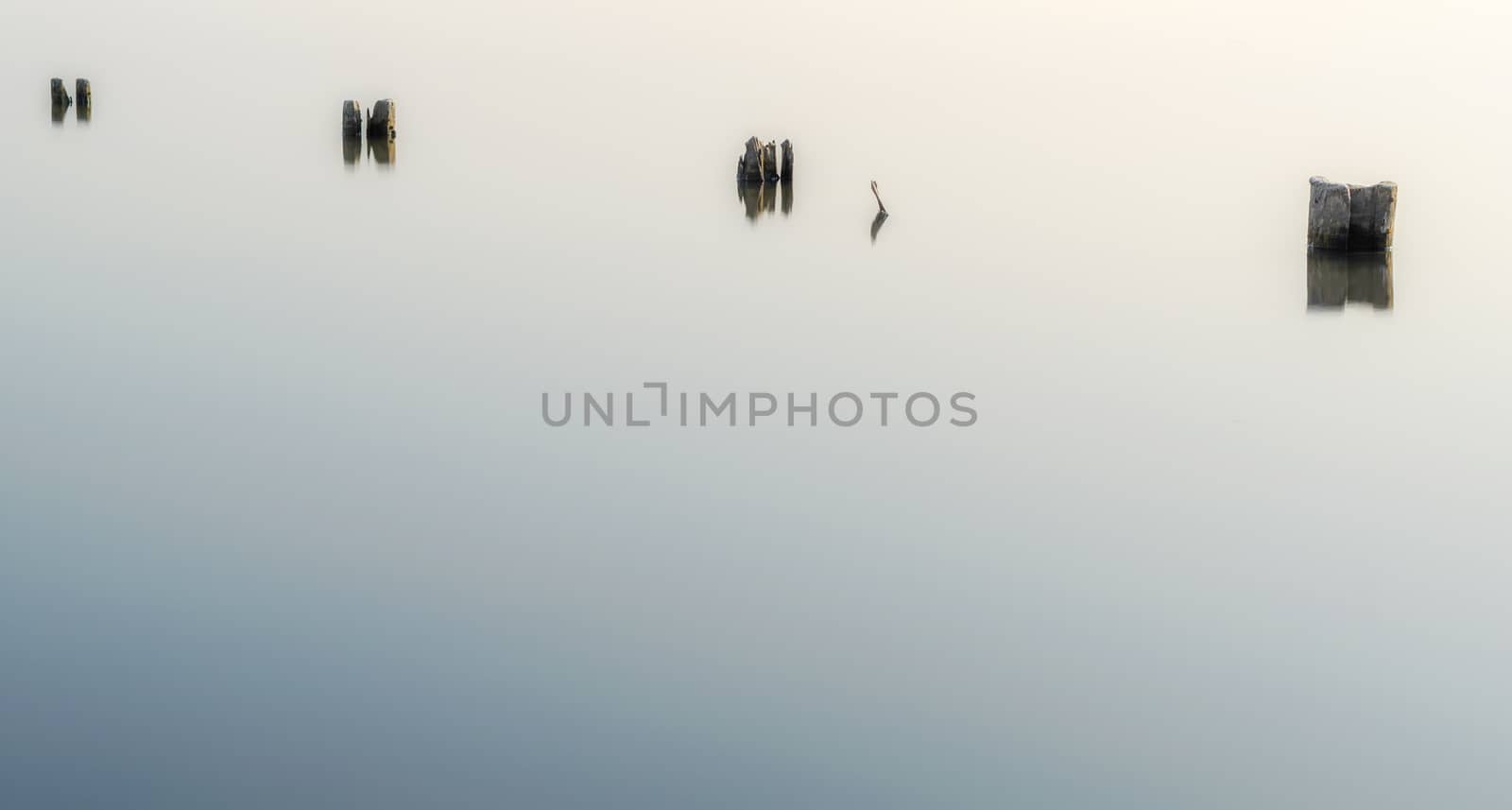wooden columns in a calm surface of the water