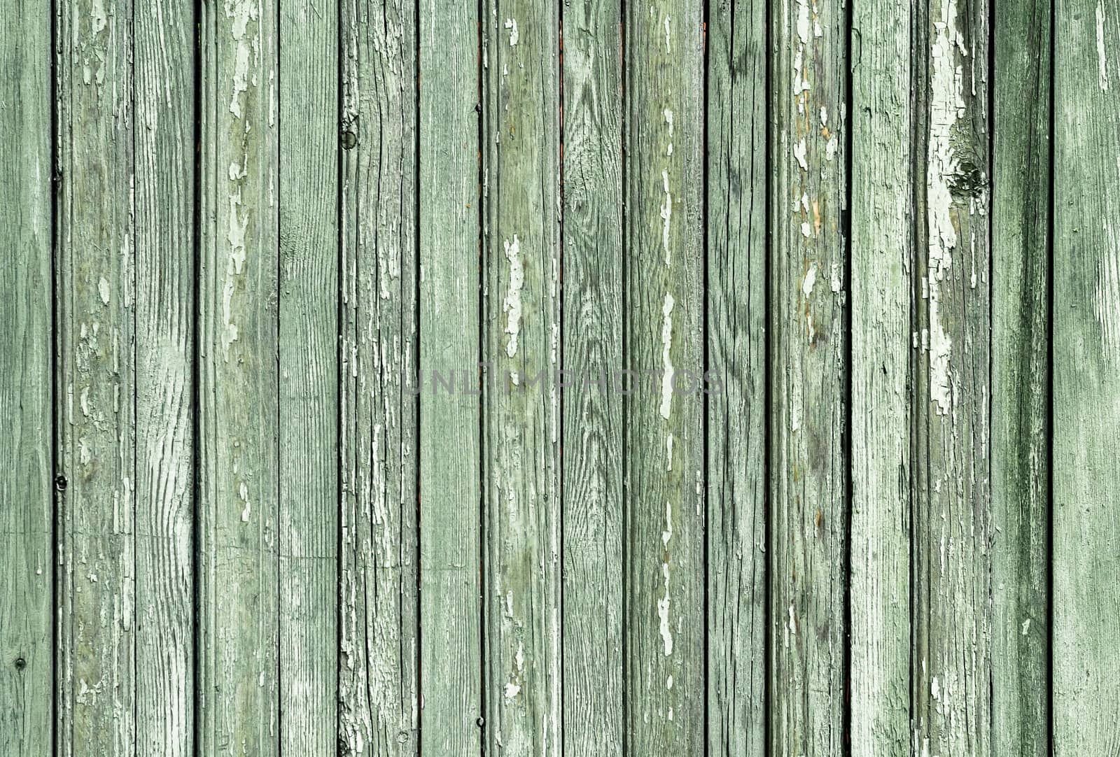 pattern texture background of old wooden surface painted with green paint