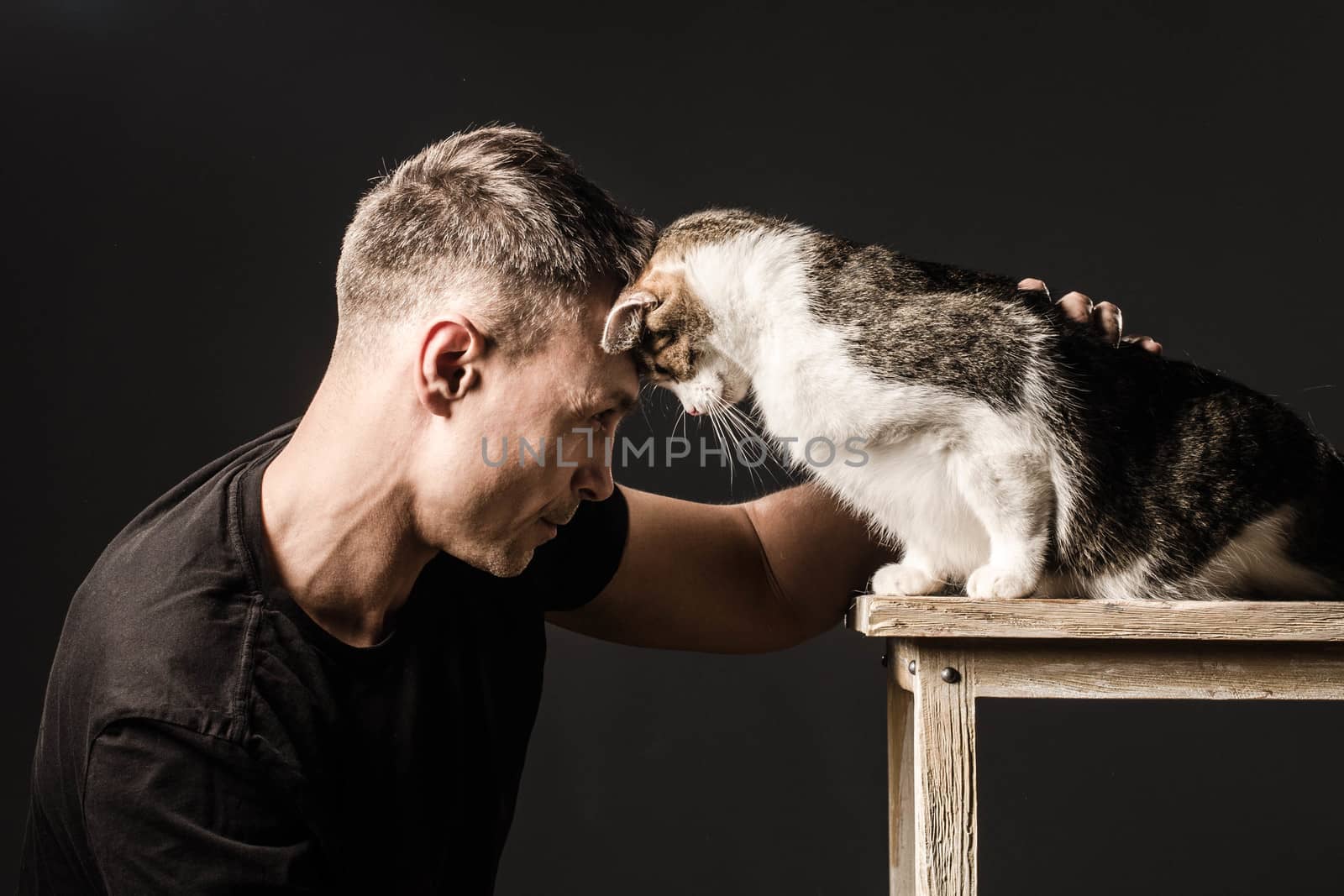 Bromance, friendship, man and cat, touched their foreheads