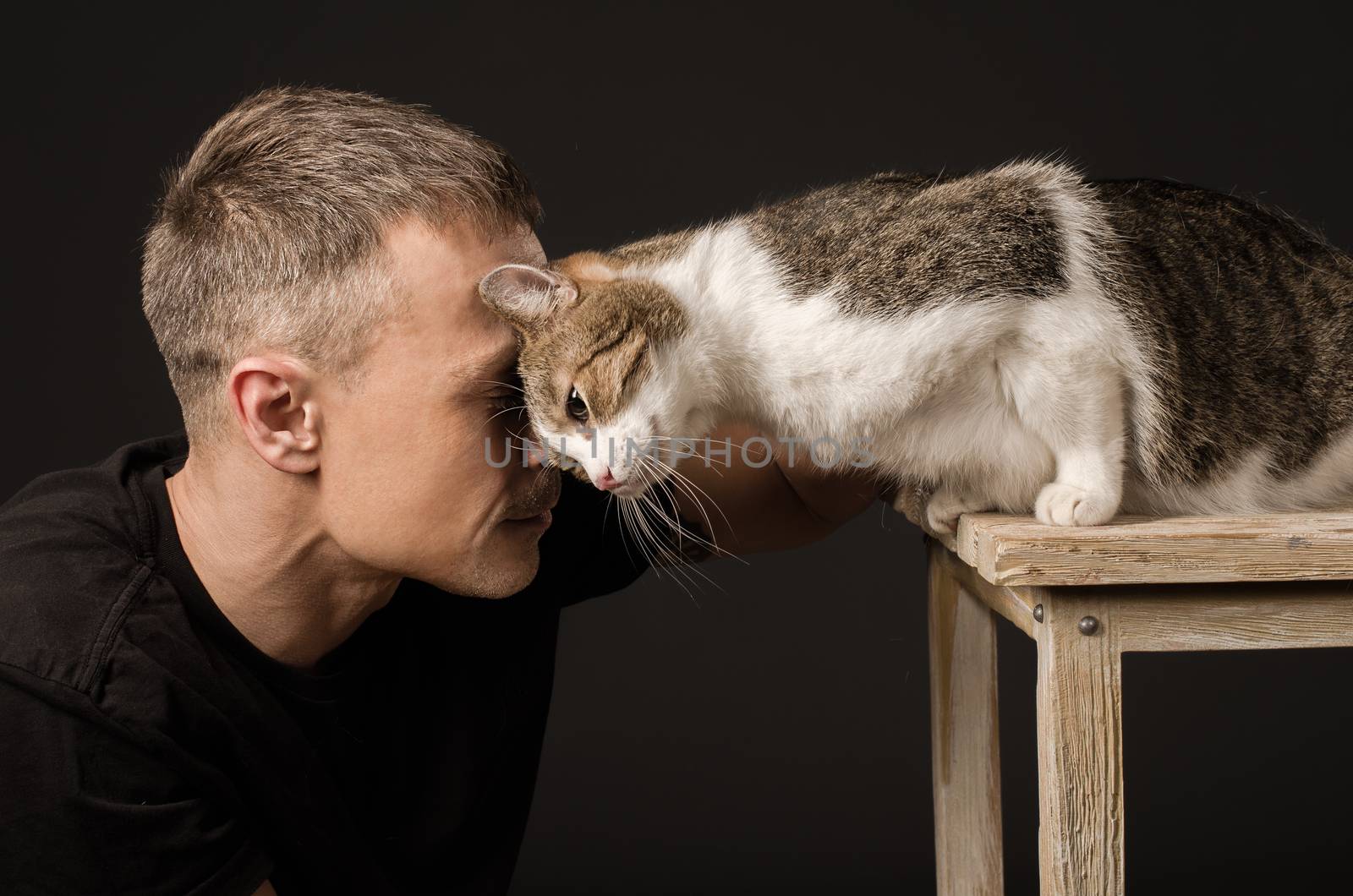 Bromance, friendship, man and cat, touched their foreheads