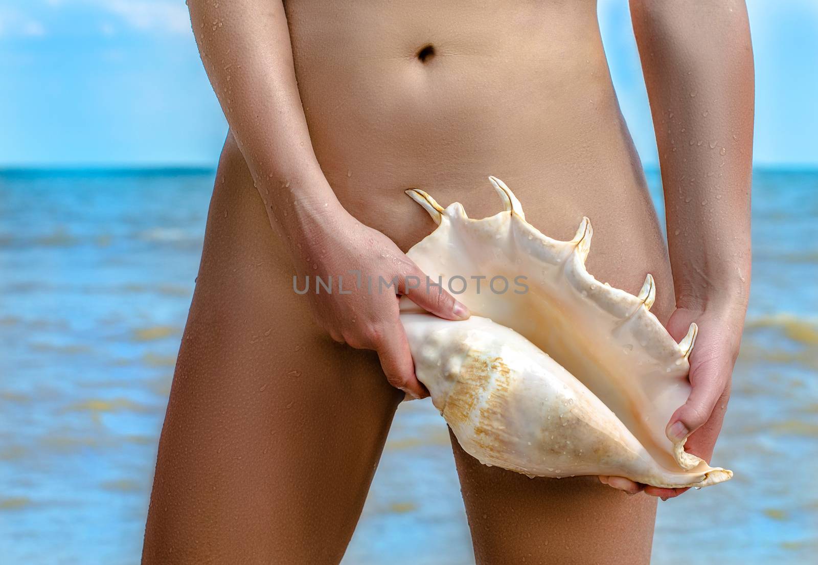 female body holding a large seashell against the blue sea