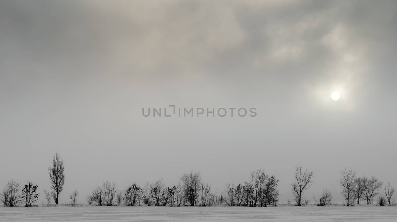 winter landscape snow on the ground and trees without leaves against the dark sky and the sun