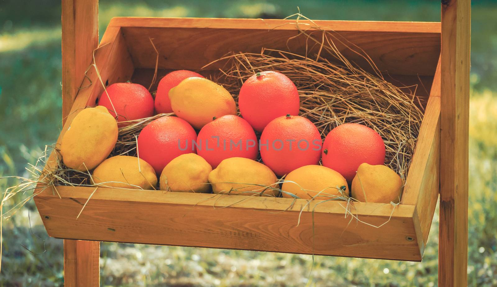 orange oranges and yellow lemons in a box
