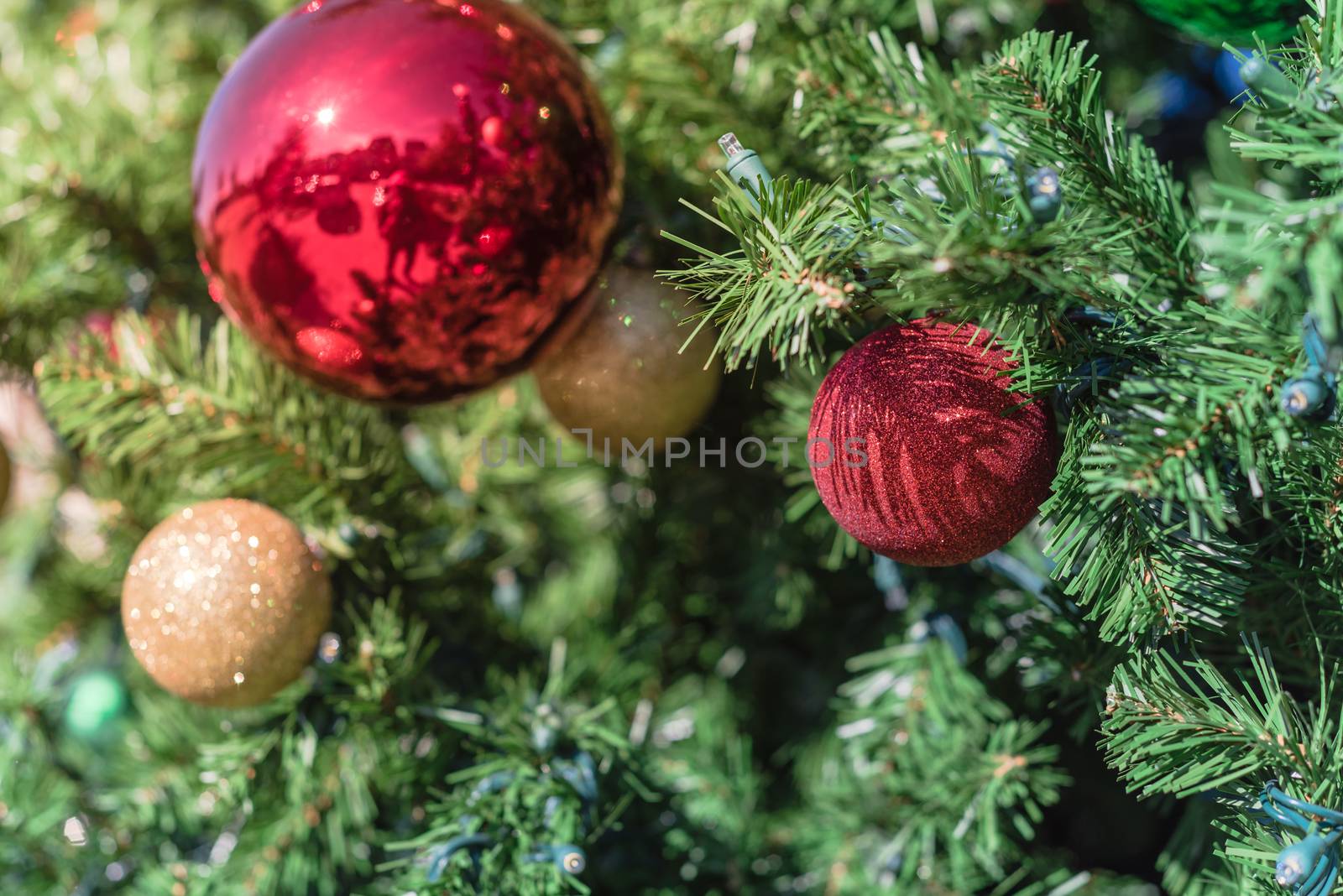 Shiny Christmas red ball hanging on pine branches at daytime light. Baubles and branch of spruce tree. Close-up traditional artificial Xmas tree ball ornament display at public park near Dallas, Texas