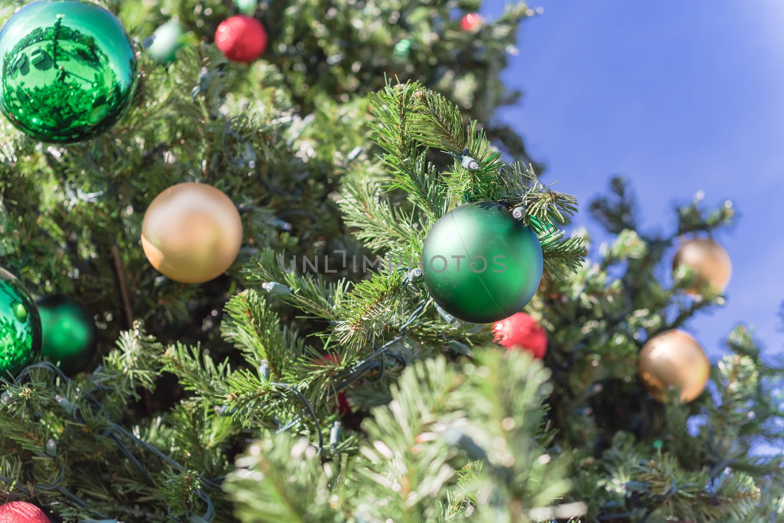 Lookup view of Christmas ball hanging on pine branches at daytime light and blue sky. Baubles and branch of spruce tree. Traditional artificial Xmas ornament at public park near Dallas, Texas