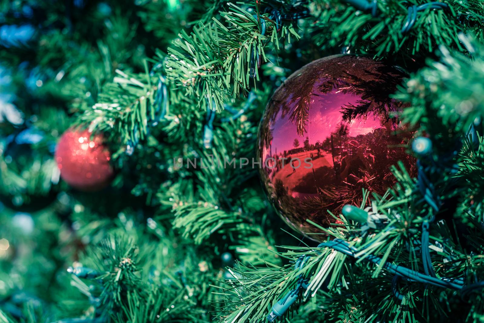 Vintage tone shiny Christmas red ball hanging on pine branches at daytime light. Baubles and branch of spruce tree. Traditional artificial Xmas tree with ball ornament at public park near Dallas, Texas