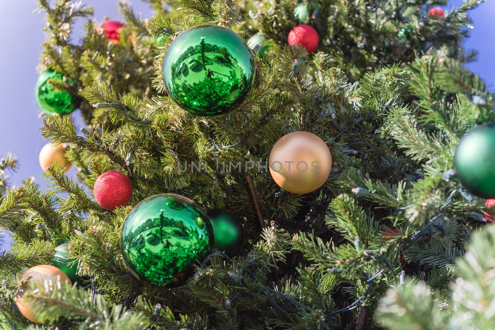 Green ball ornament hanging on Christmas pine branches at daytime light close-up by trongnguyen