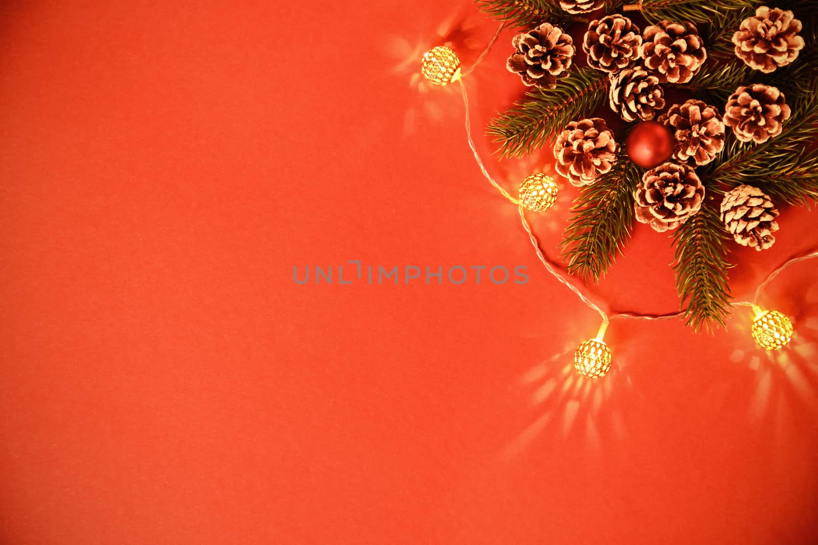 Greeting card concept with pinecones, branches and lights by Mendelex