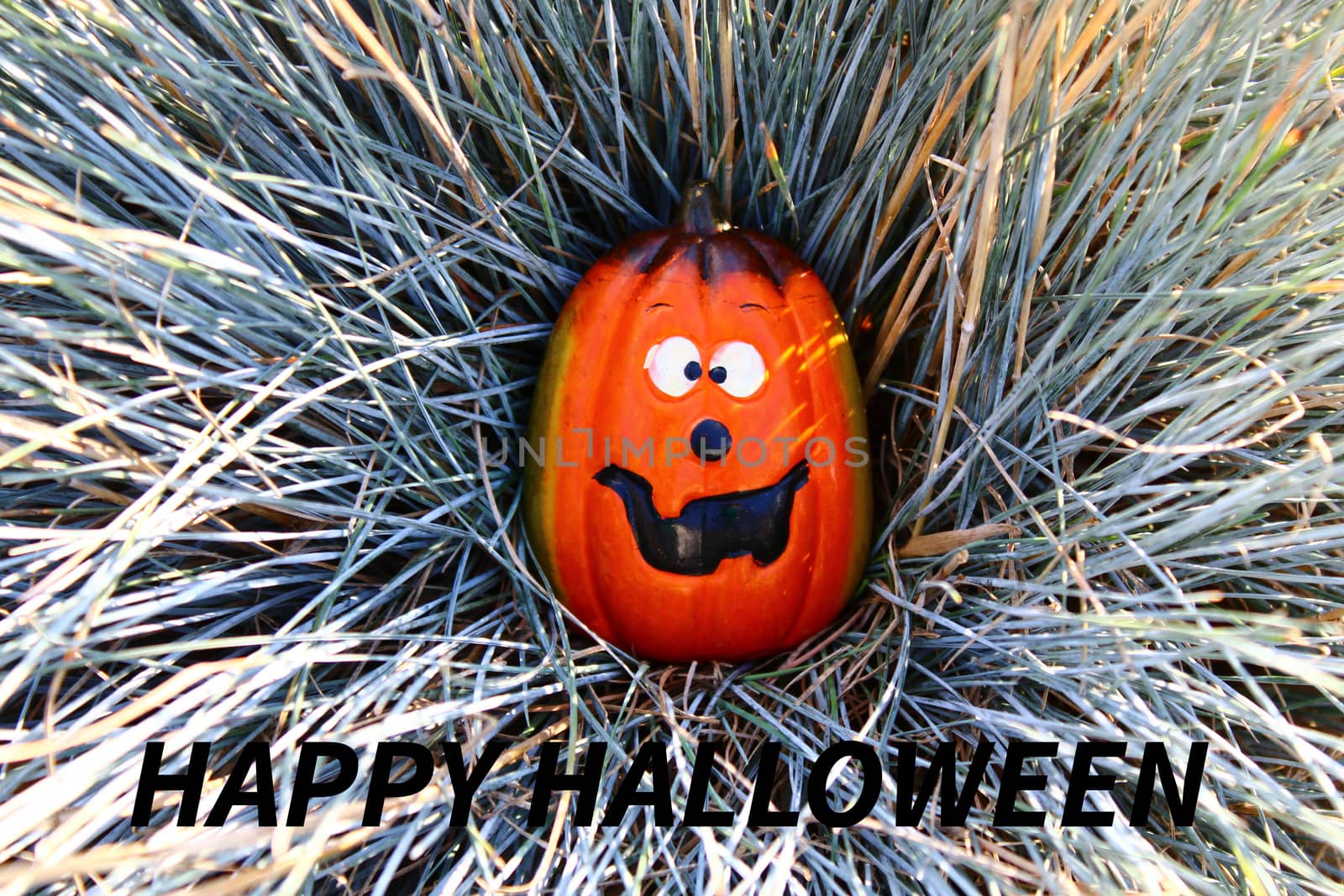 The picture shows a funny Halloween decoration with a laughing pumpkin