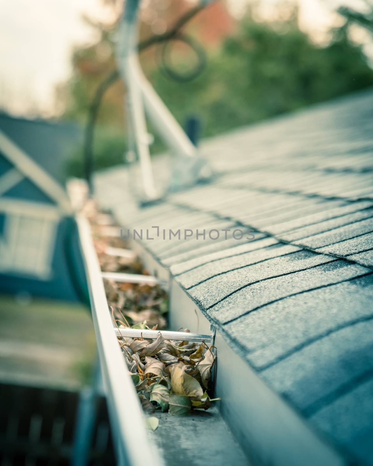 Gutter full of dried leaves near roof shingles with satellite dish in background by trongnguyen