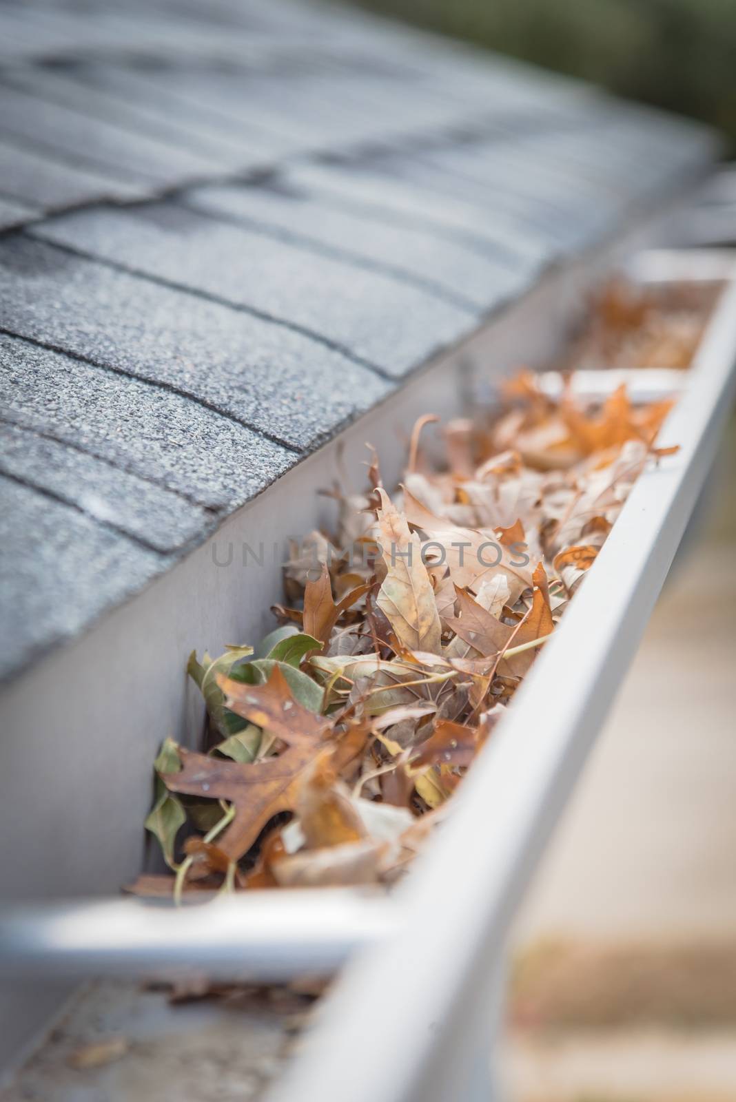 Shallow DOF clogged gutter near roof shingles of residential house full of dried leaves by trongnguyen