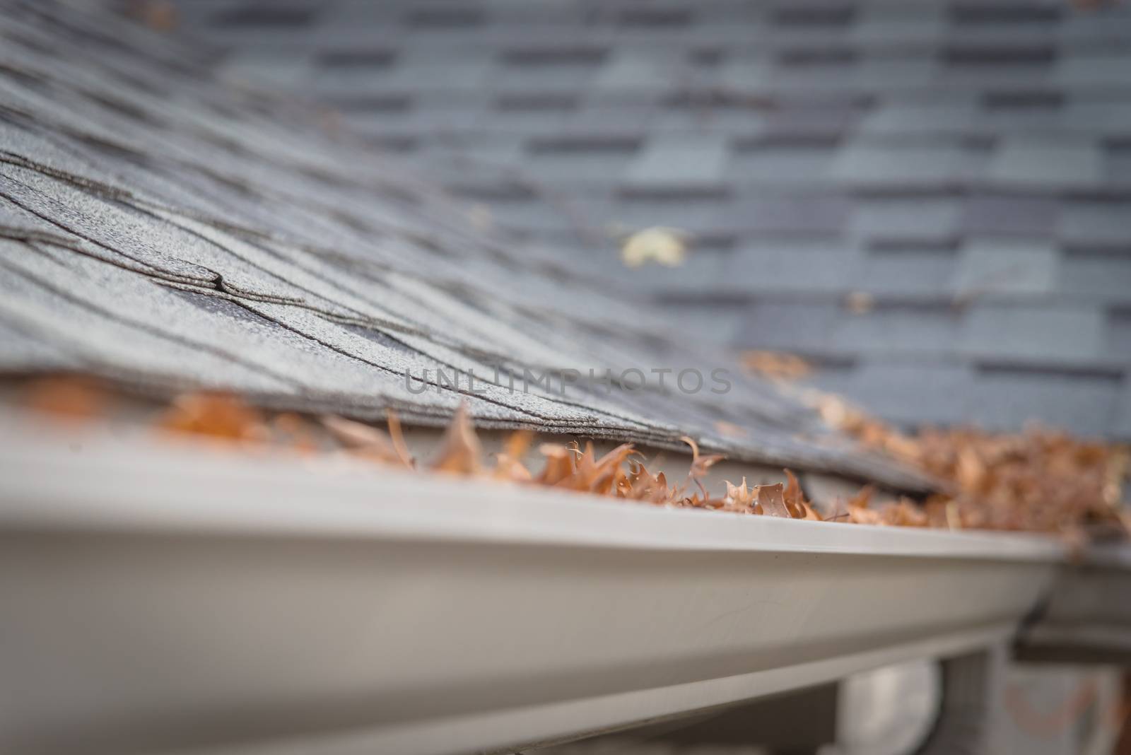 Shallow DOF clogged gutter near roof shingles of residential house full of dried leaves by trongnguyen