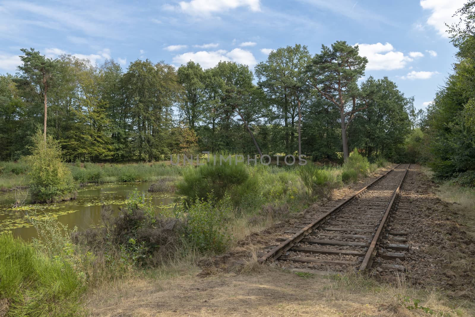 Old railway line Borkense Course in the Netherlands
 by Tofotografie