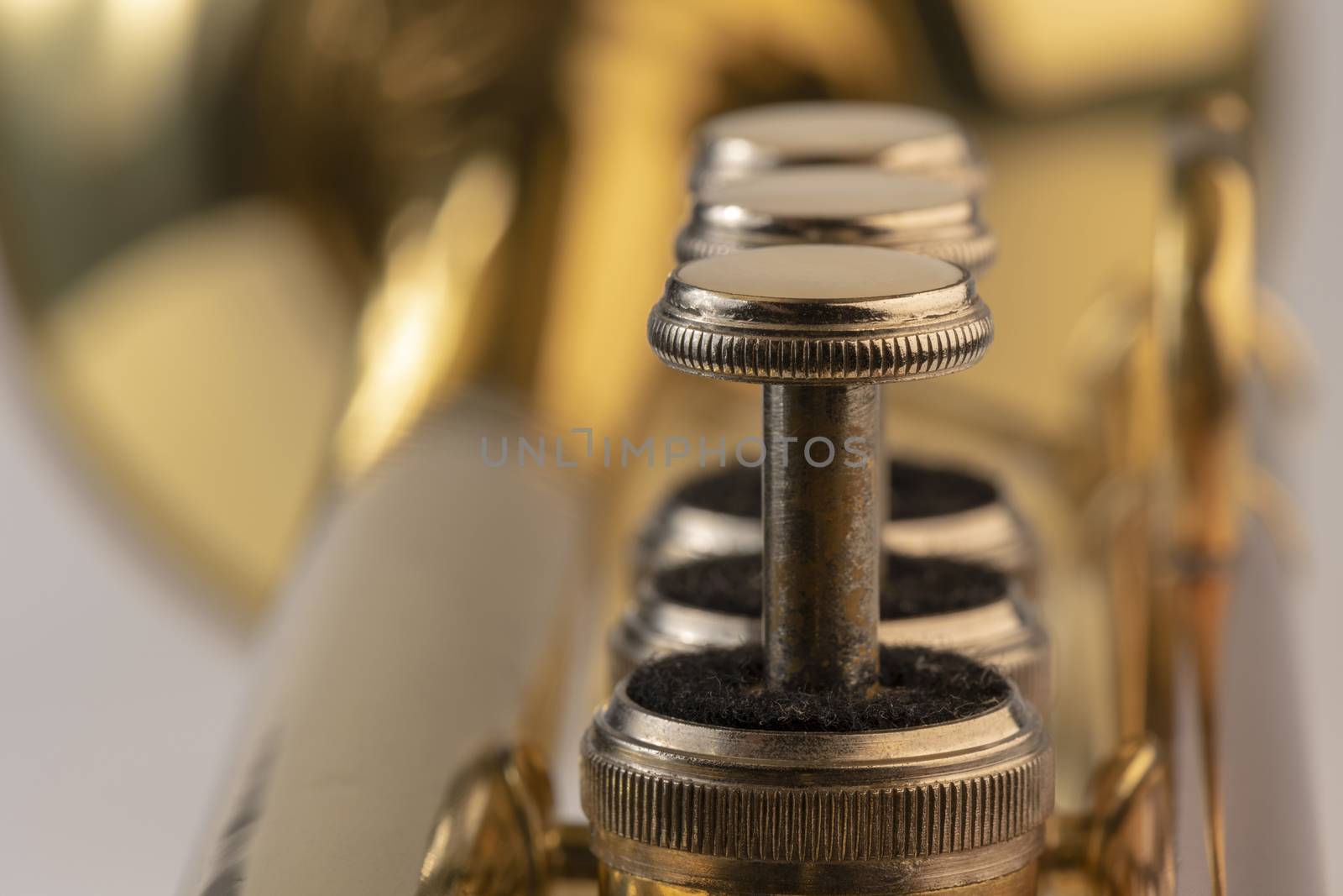 Musical instrument trumpet in detail
 by Tofotografie