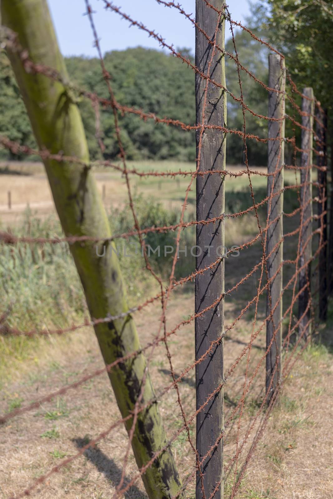 High wooden fence with rusty barbed wire
