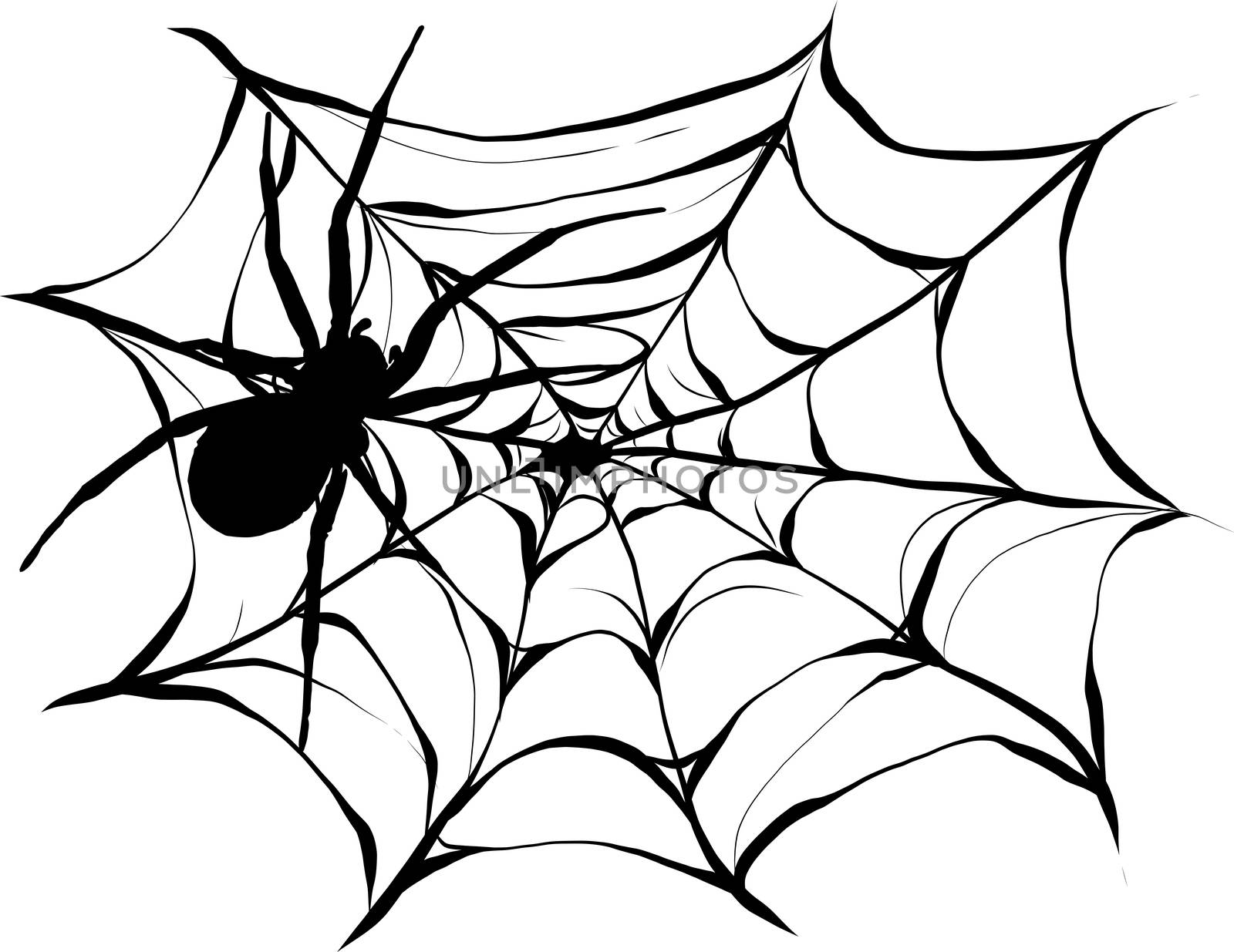 Black spider and torn web. Scary spiderweb of halloween symbol.