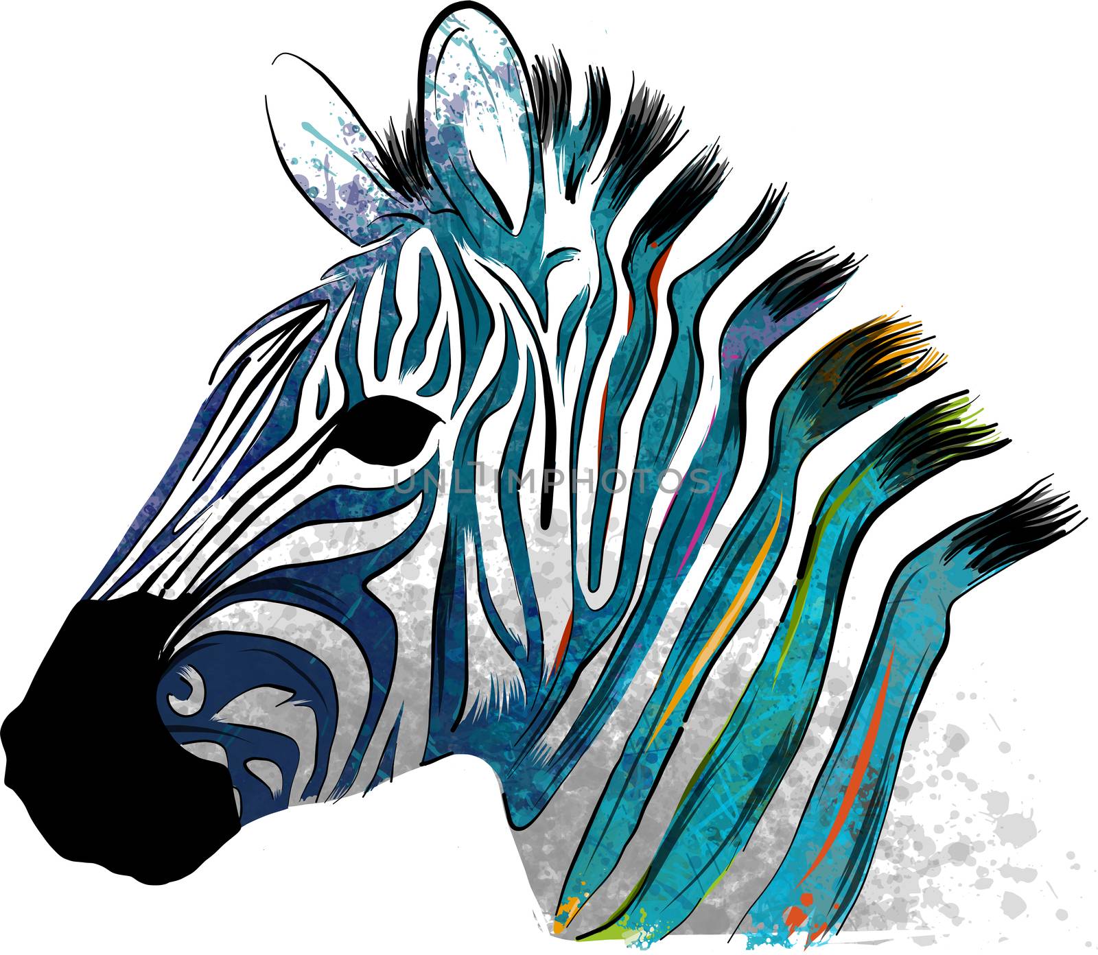 illustration Zebra with colored stripes