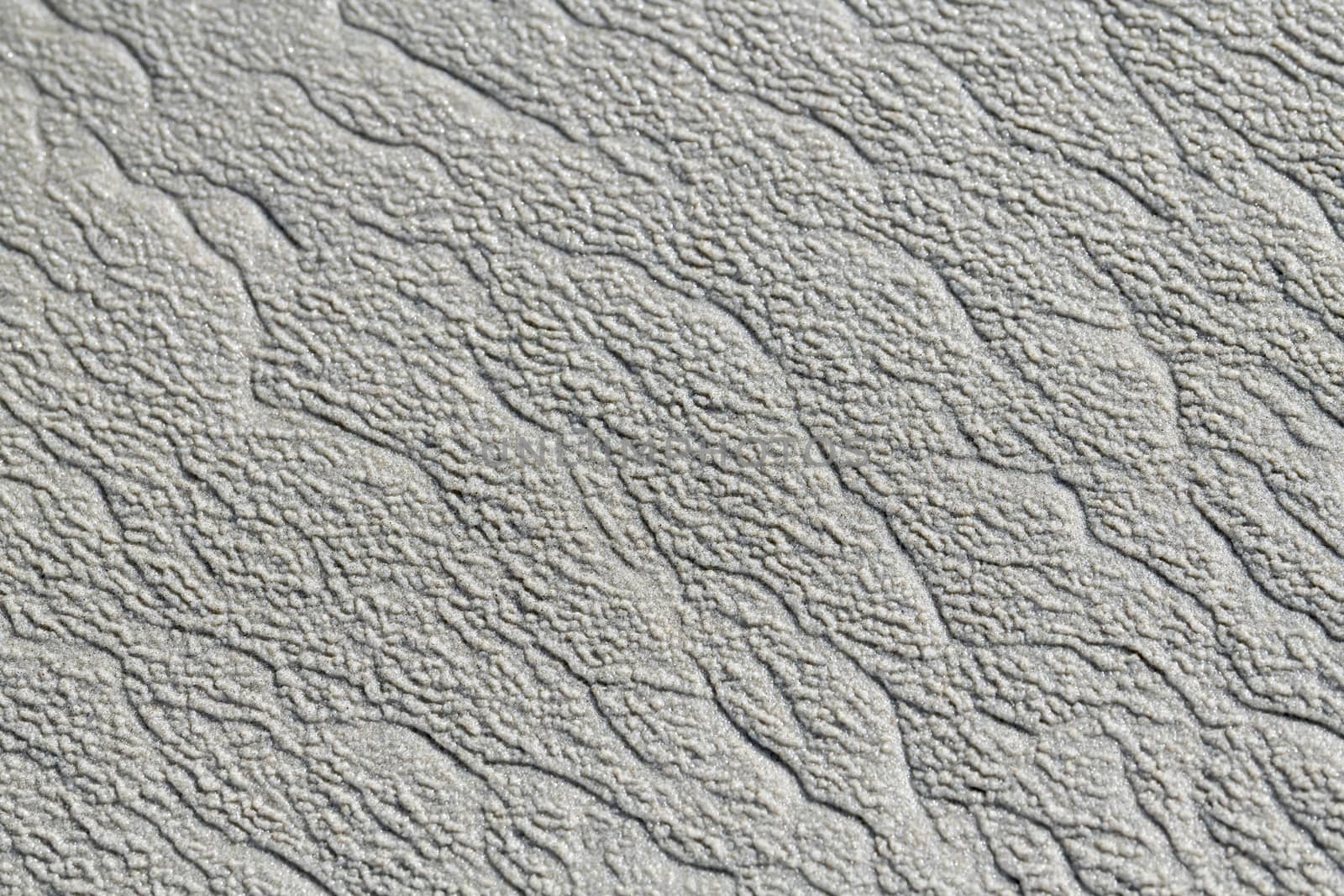 Sand structures in the beach of Terschelling 
 by Tofotografie