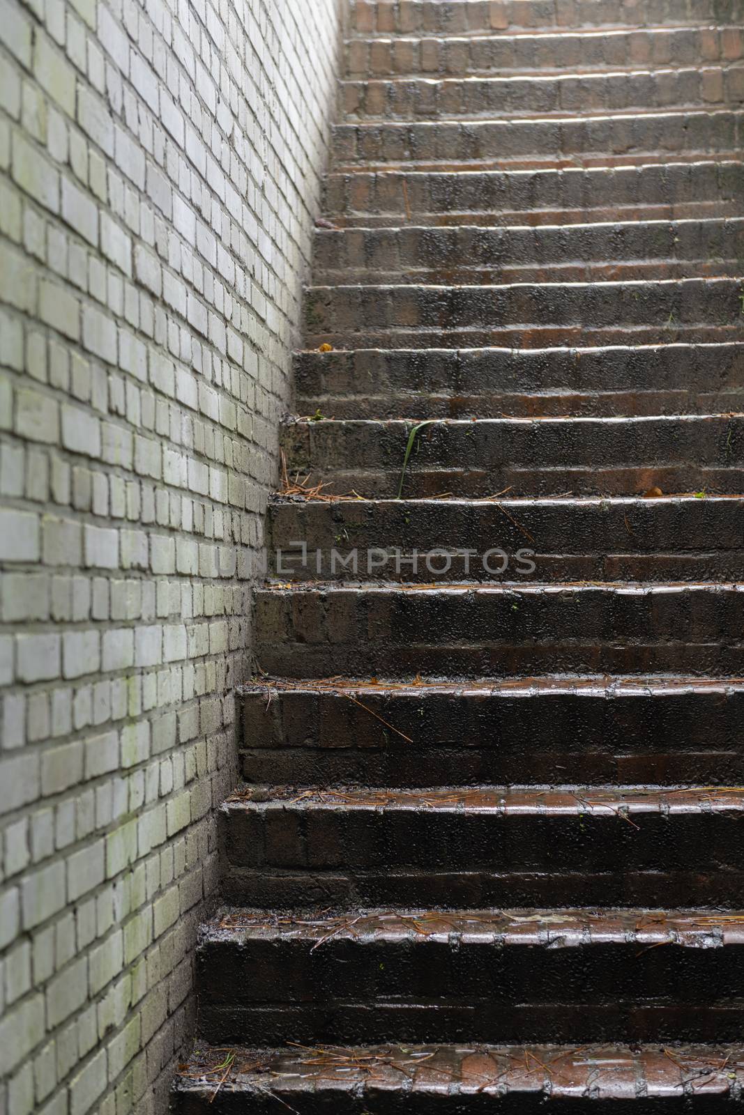 Stone stairs in an old German bunker 
 by Tofotografie