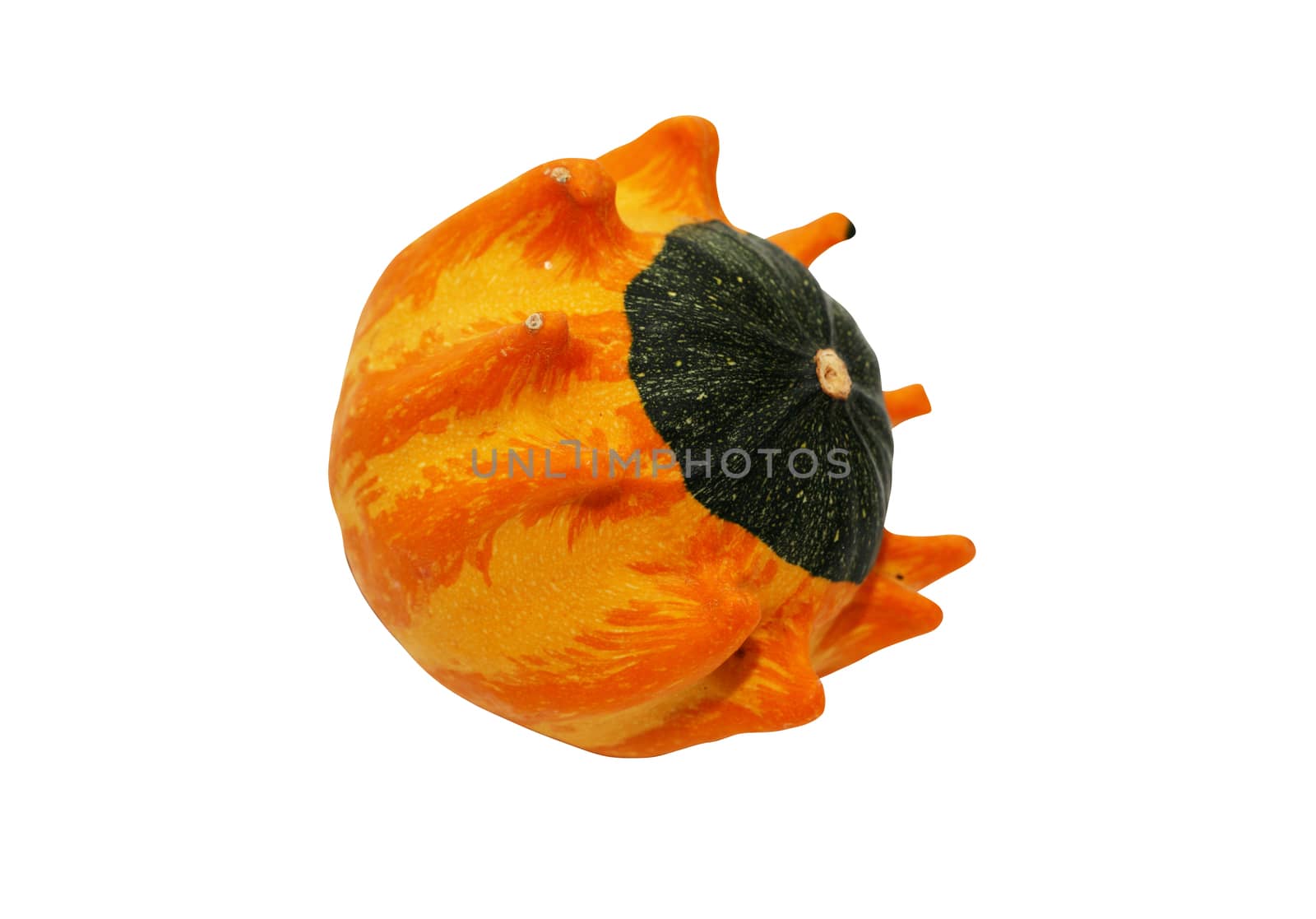 Small Decorative Pumpkin by kvkirillov