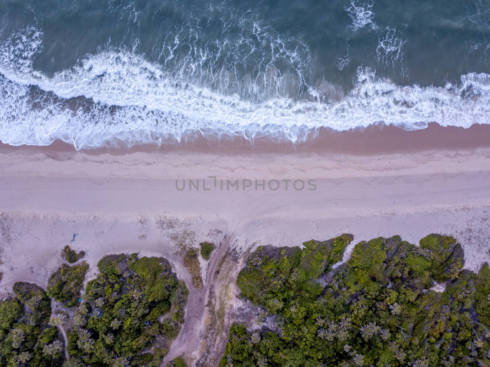 Drone picture of the waves hitting the beach on the Swahili Coast, Tanzania.