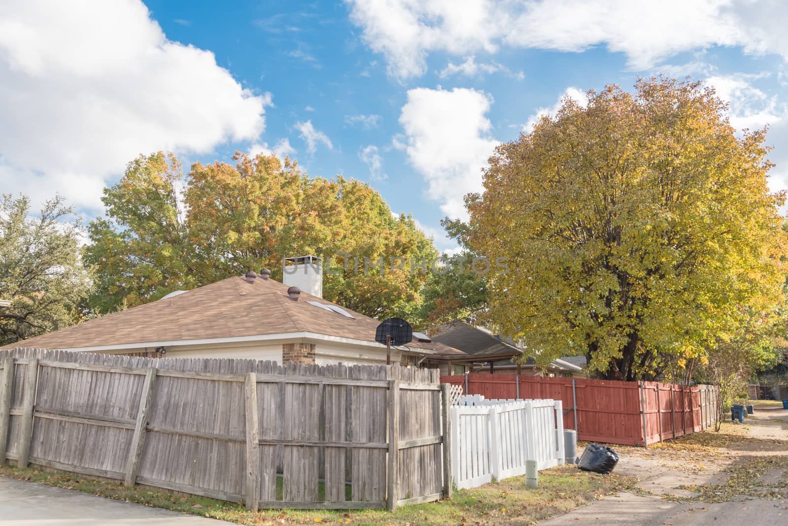 Beautiful backyard of typical residential house with wooden fence in suburbs of Dallas during fall season. Colorful mature trees and floor of fallen dried leaves, cloud blue sky