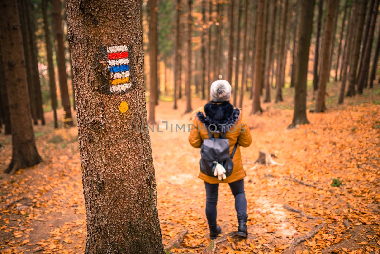 Touristic sign ormark on tree next to touristic path with female tourist in background. Nice autumn scene.