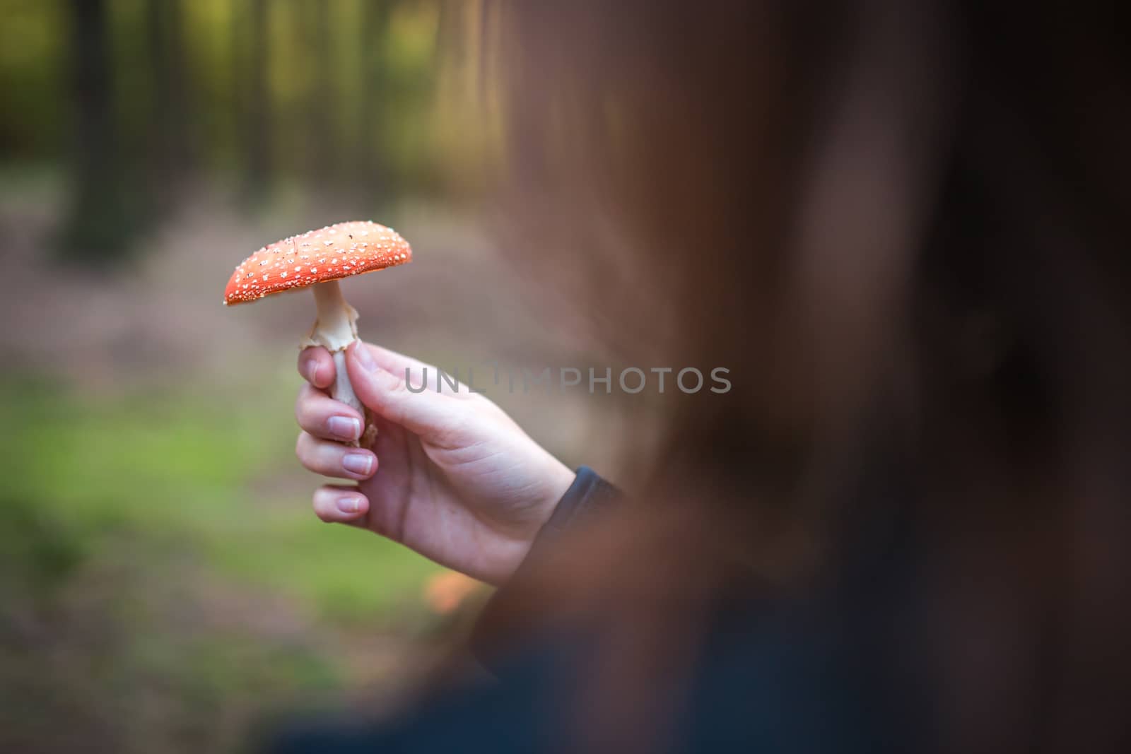 Female holding Amanita Muscaria mushroom, commonly known as the fly agaric or fly amanita, is a basidiomycete of the genus Amanita. by petrsvoboda91
