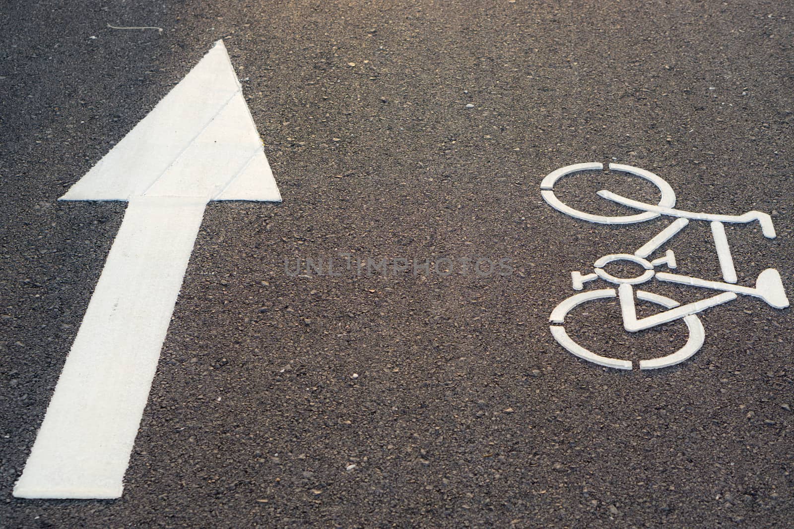 Bicycle lane marking or bike road sign with an arrow on the street in the public park.