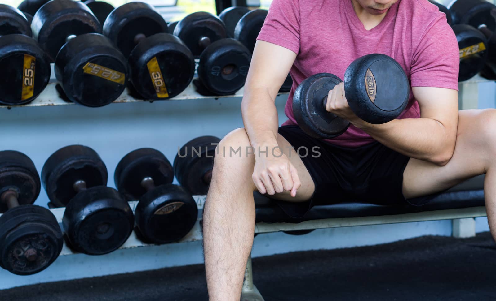 Fitness man doing biceps curl. Exercise with sitting dumbbell curl at gym. Fitness. sport, fitness, health, lifestyle and people concept