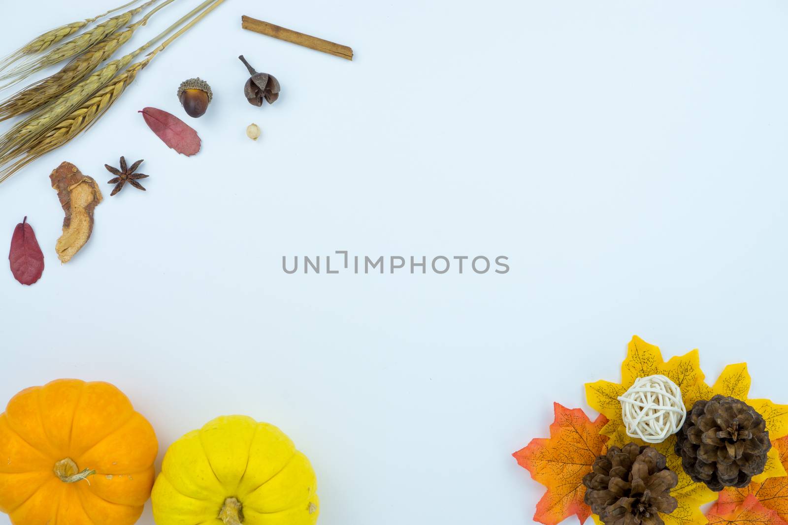 Frame of autumn leaves. Dried leaves, pumpkins, flowers on white background. Autumn, fall, Halloween, Thanksgiving day concept. Flat lay, top view, copy space.