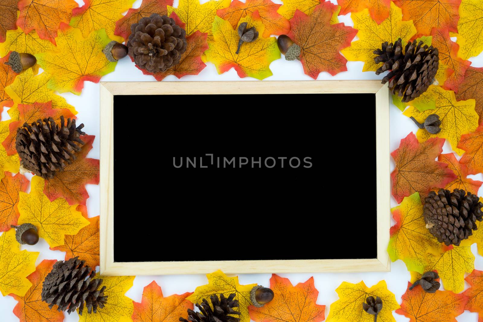 Frame of autumn leaves with blackboard. Dried leaves, pumpkins, flowers on white background. Autumn, fall, Halloween, Thanksgiving day concept. Flat lay, top view, copy space.