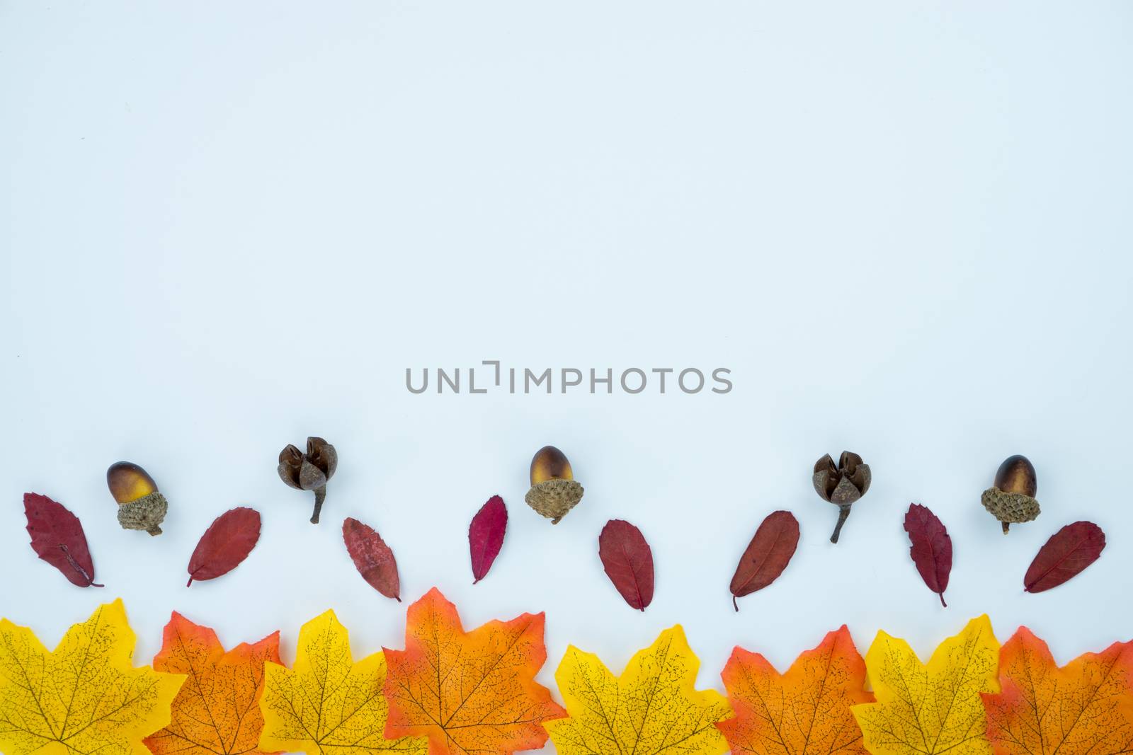 Frame of autumn leaves. Dried leaves, pumpkins, flowers on white background. Autumn, fall, Halloween, Thanksgiving day concept. Flat lay, top view, copy space.