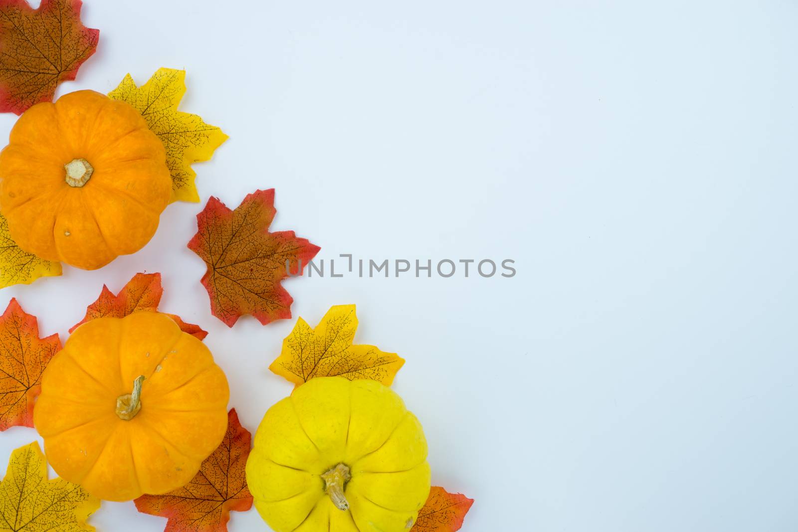 Frame of autumn leaves. Dried leaves, pumpkins, flowers on white by mikesaran