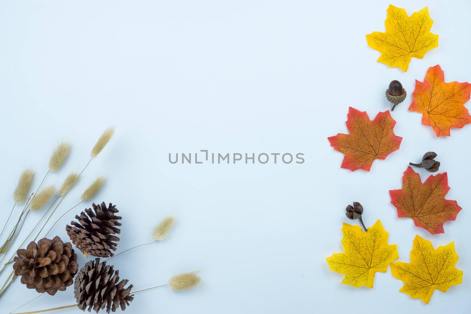 Frame of autumn leaves. Dried leaves, pumpkins, flowers on white background. Autumn, fall, Halloween, Thanksgiving day concept. Flat lay, top view, copy space.