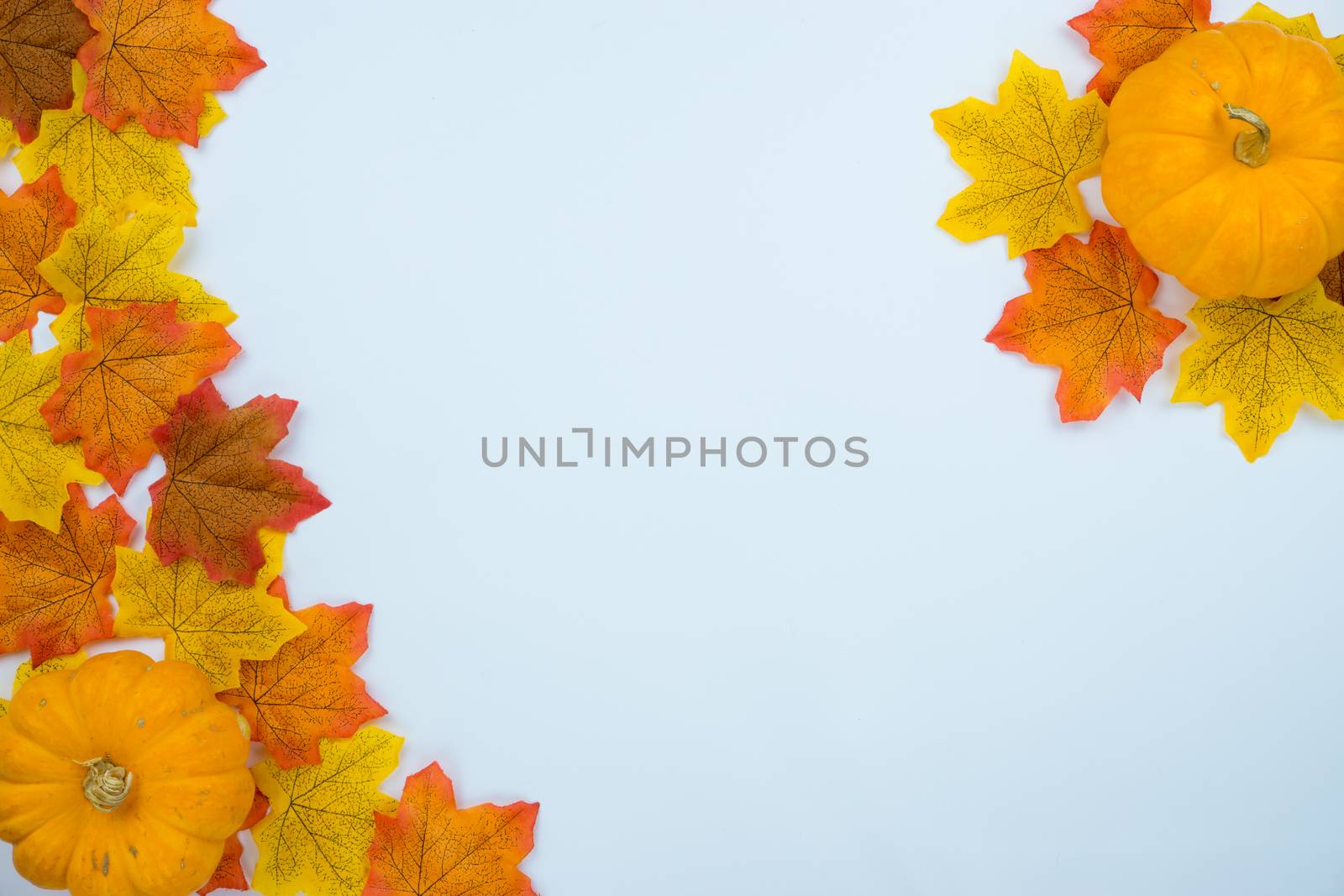 Frame of autumn leaves. Dried leaves, pumpkins, flowers on white background. Autumn, fall, Halloween, Thanksgiving day concept. Flat lay, top view, copy space.