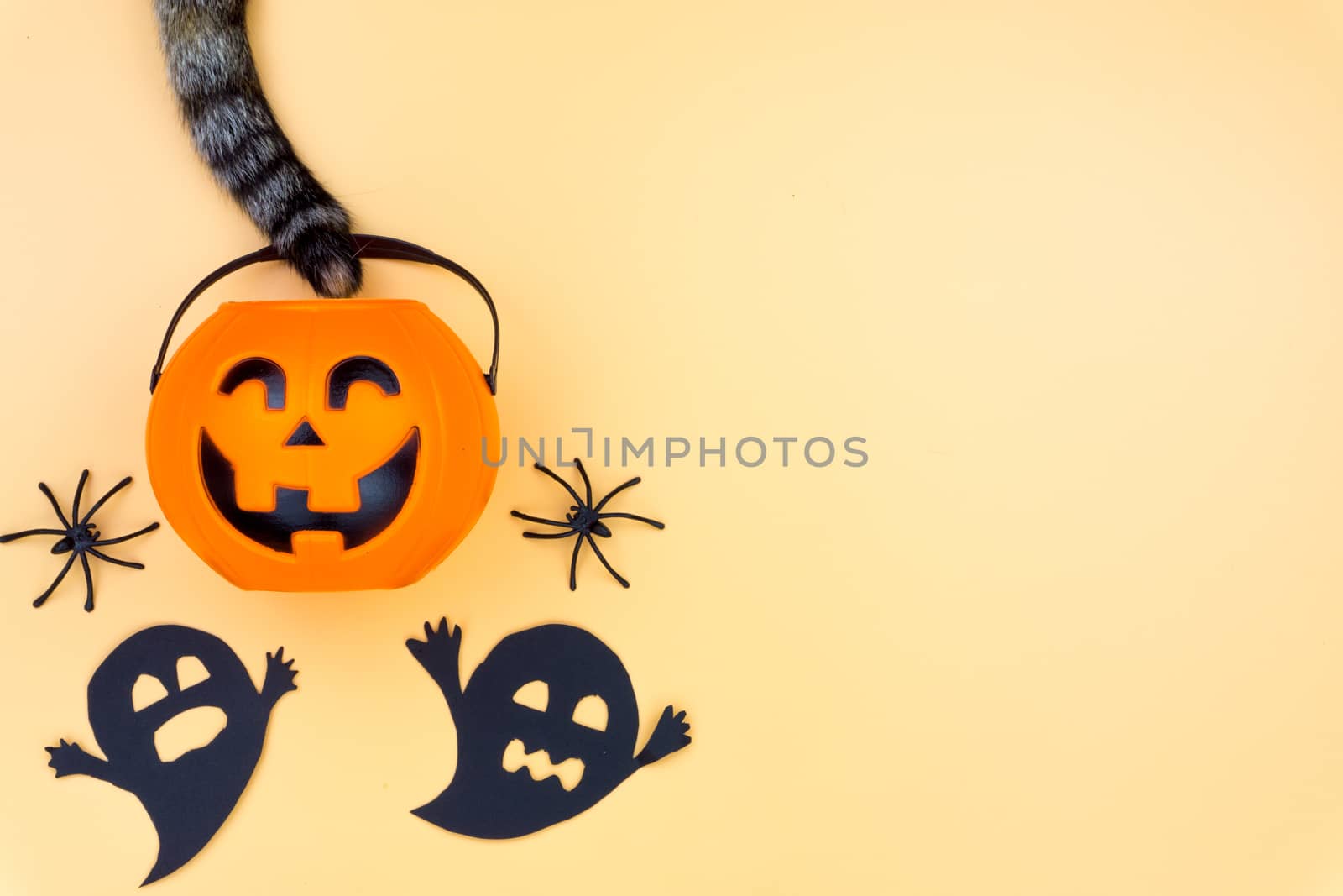 Top view of Halloween decoration, A tail of cat grab jack o lantern, ghost and spider on yellow background with copy space for text. halloween concept.