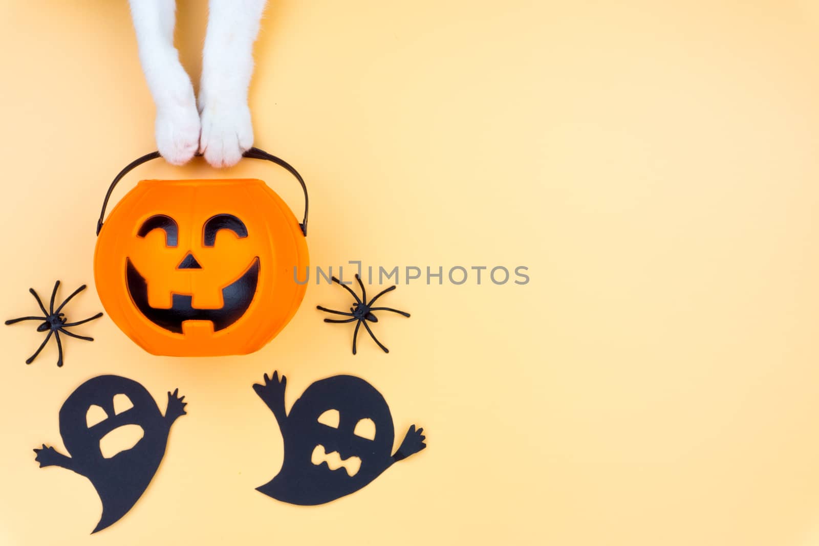 Top view of Halloween decoration, A hand of cat holding jack o lantern, ghost and spider on yellow background with copy space for text. halloween concept.