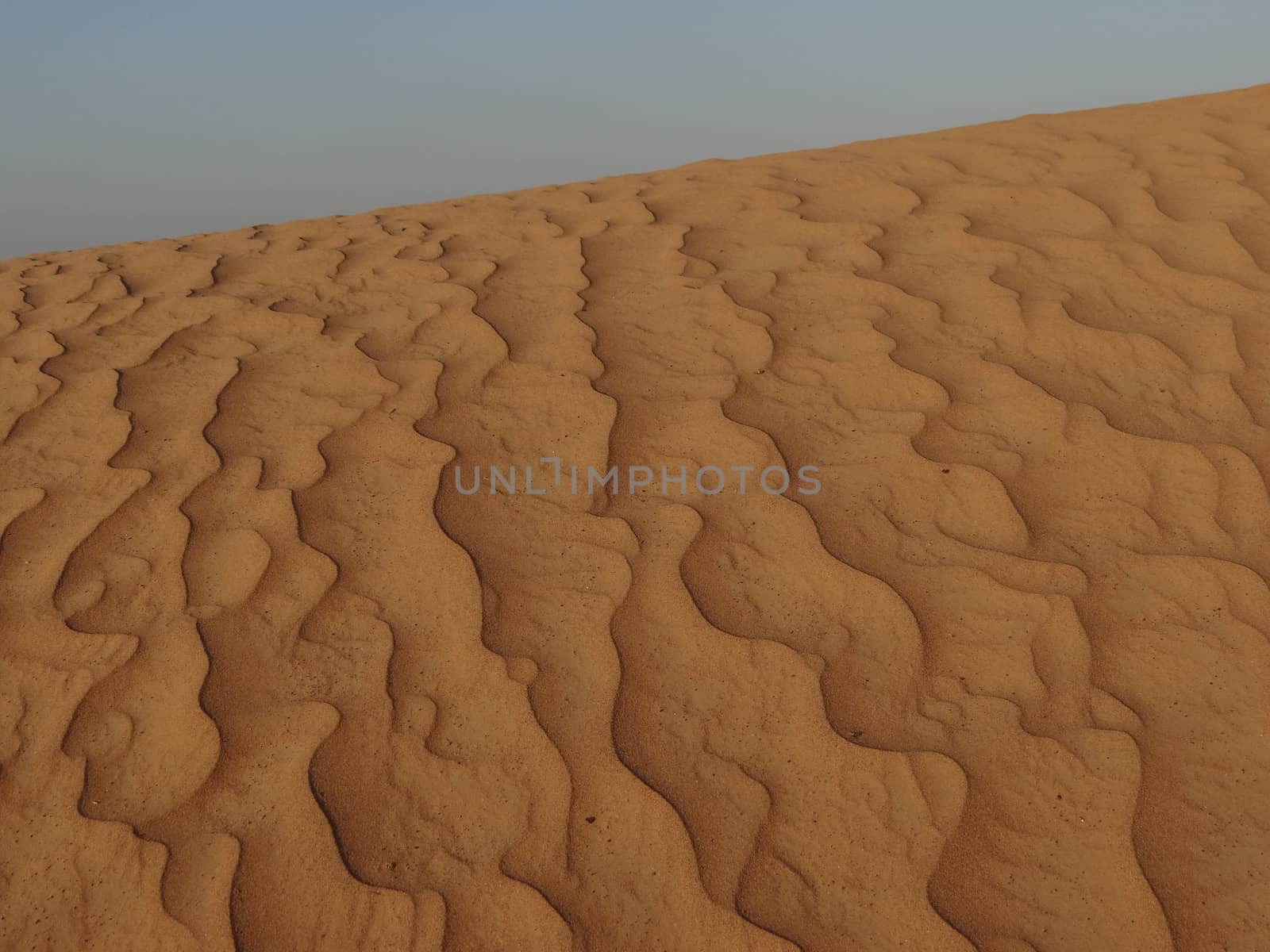 the orange sands of desert