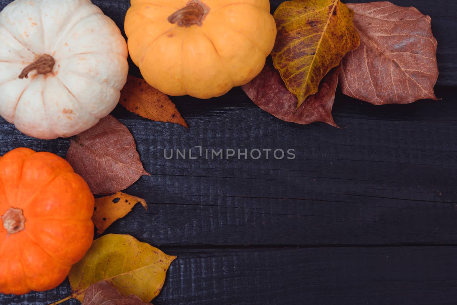 Top view of Pumpkins and and dry leaves on a dark wooden backgro by Sorapop