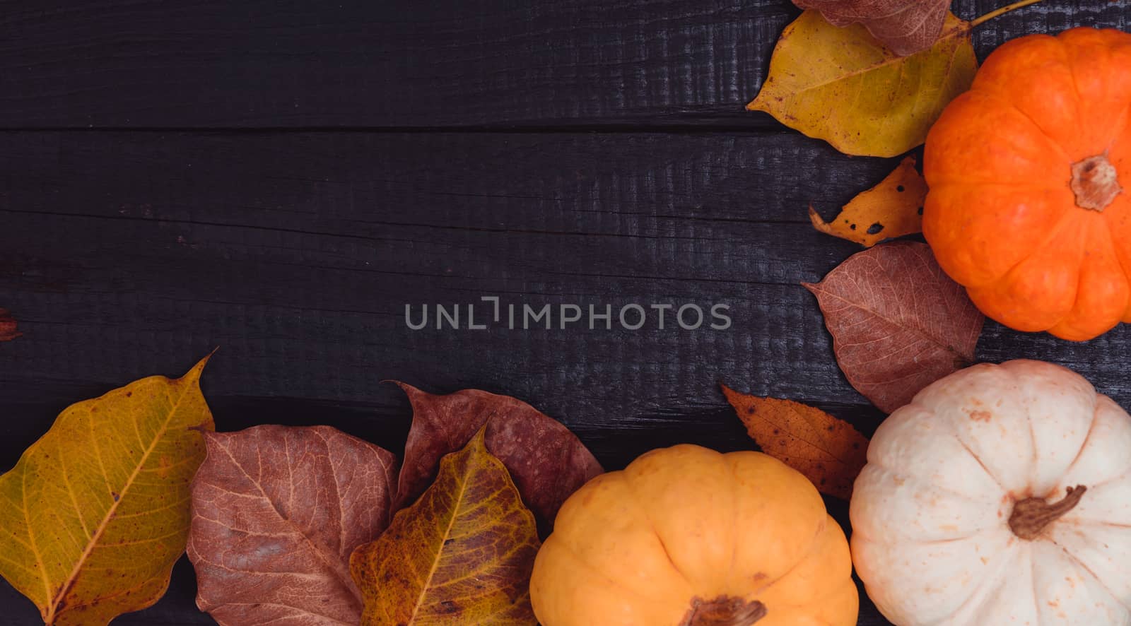 Top view of Pumpkins and and dry leaves on a dark wooden background with copy space for use, Thanksgiving and Autumn concept
