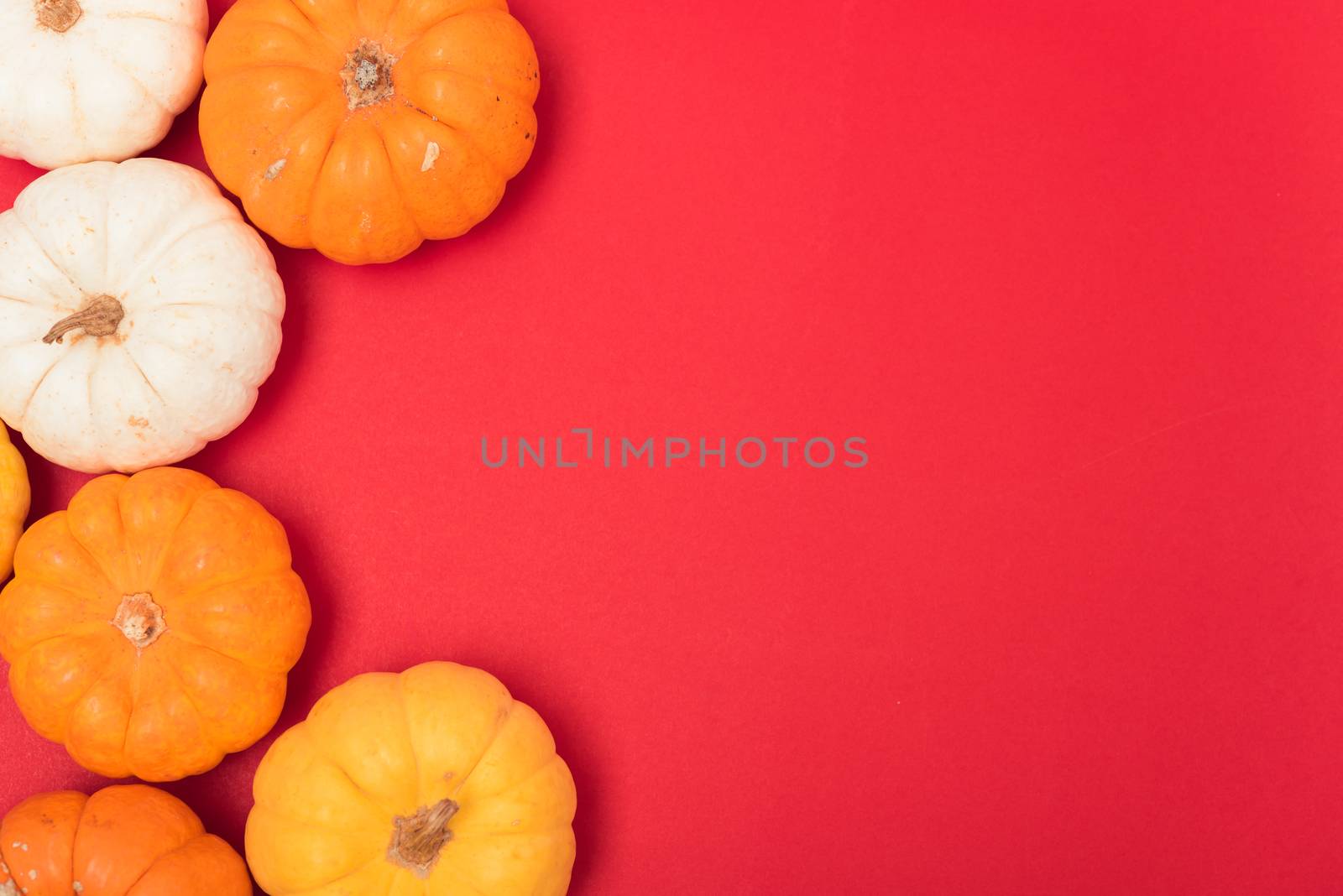 Halloween and Thanksgiving day pumpkins and leaves on red background with copy space for use