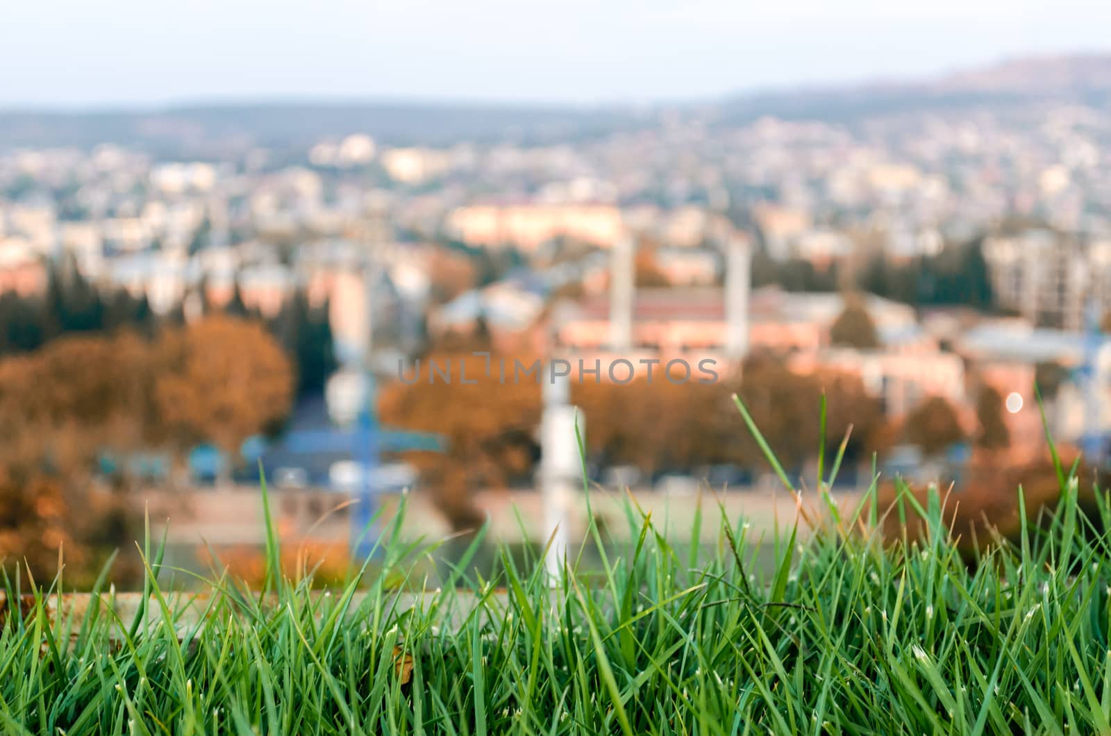 lawn with fresh green grass close up and the city in the background