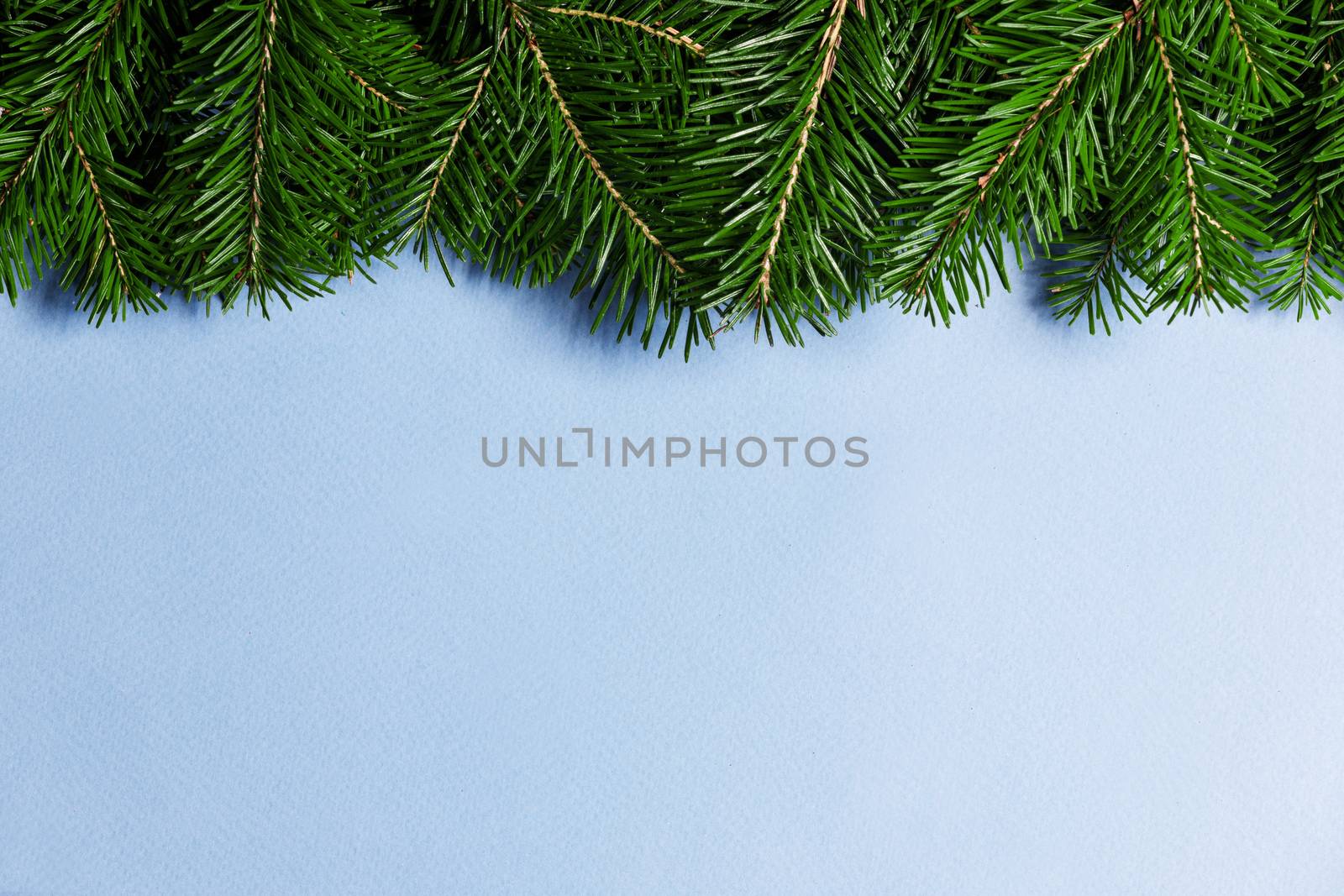 Christmas border arranged with fresh fir branches on blue paper background , copy space for text