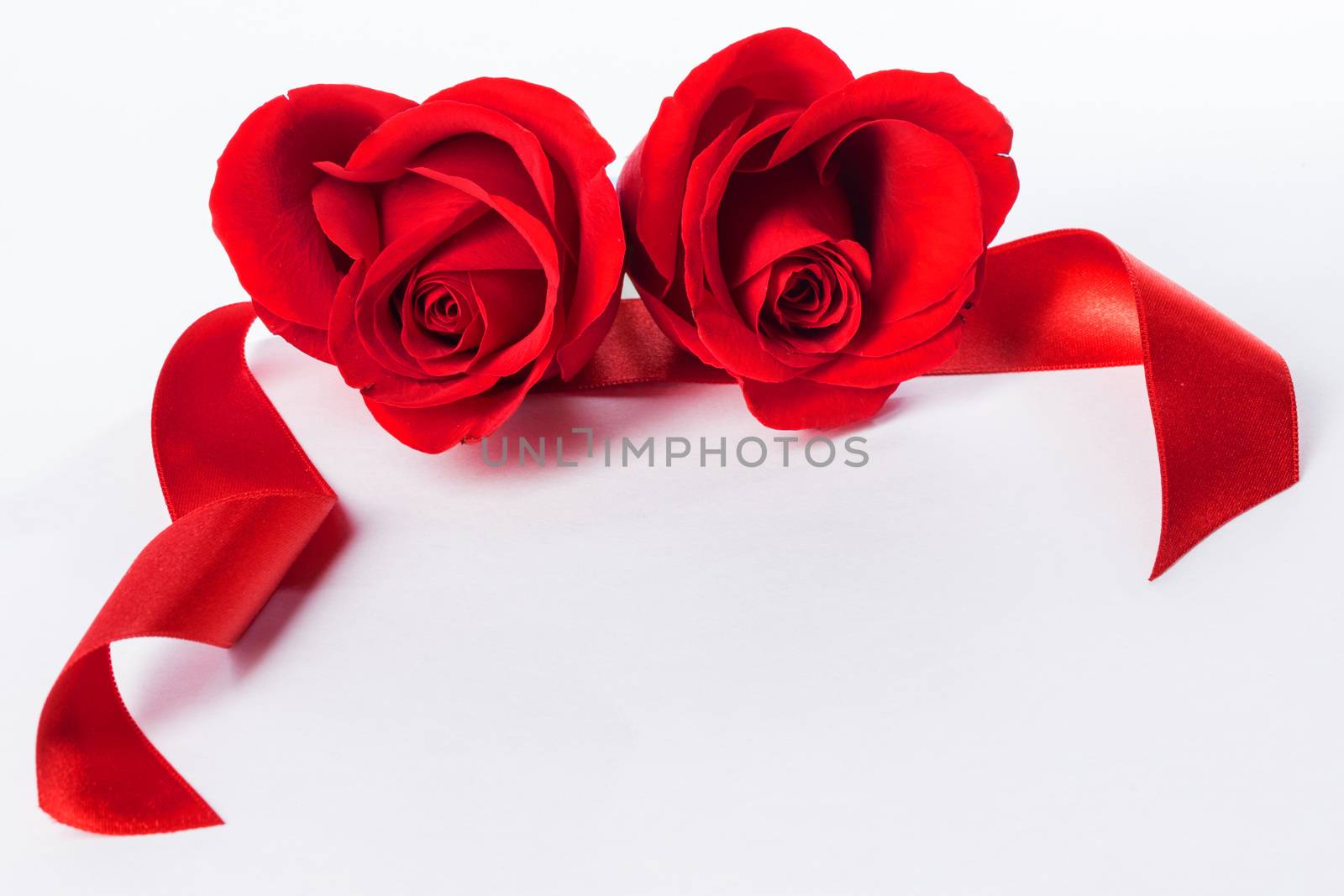 Hearts of red roses and curly ribbons isolated on white background Valentines day design