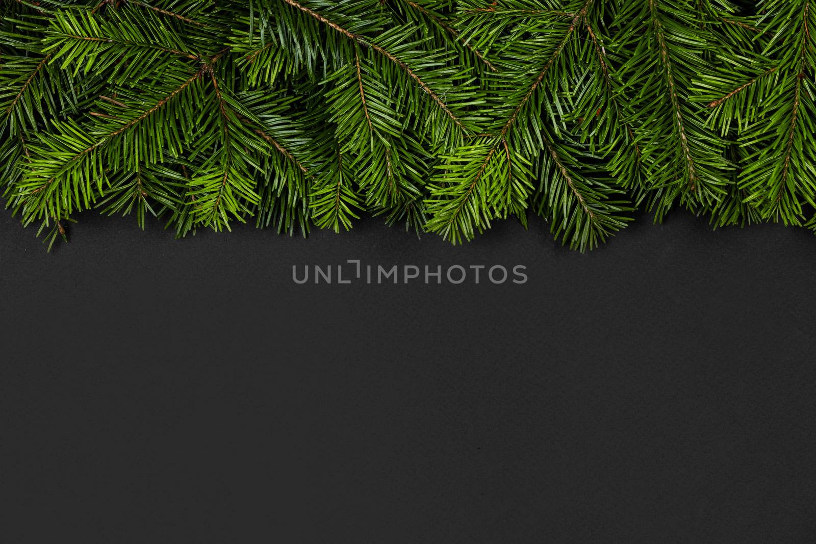 Christmas border arranged with fresh fir branches on black paper background , copy space for text